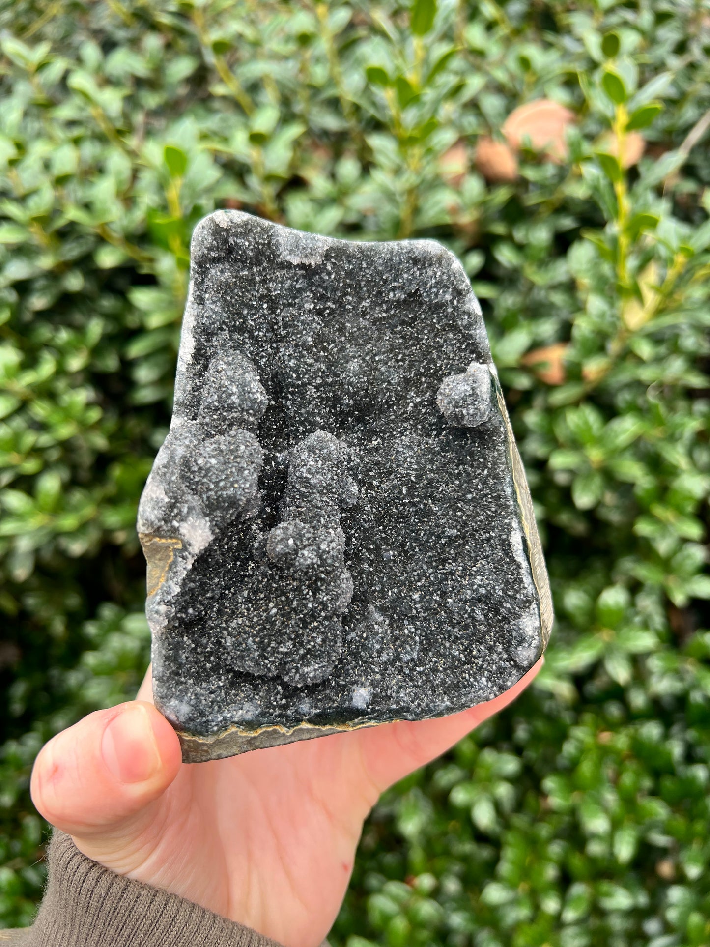 Black Amethyst Cut Bases