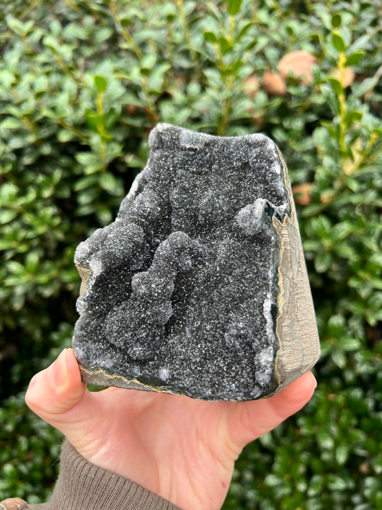 Black Amethyst Cut Bases