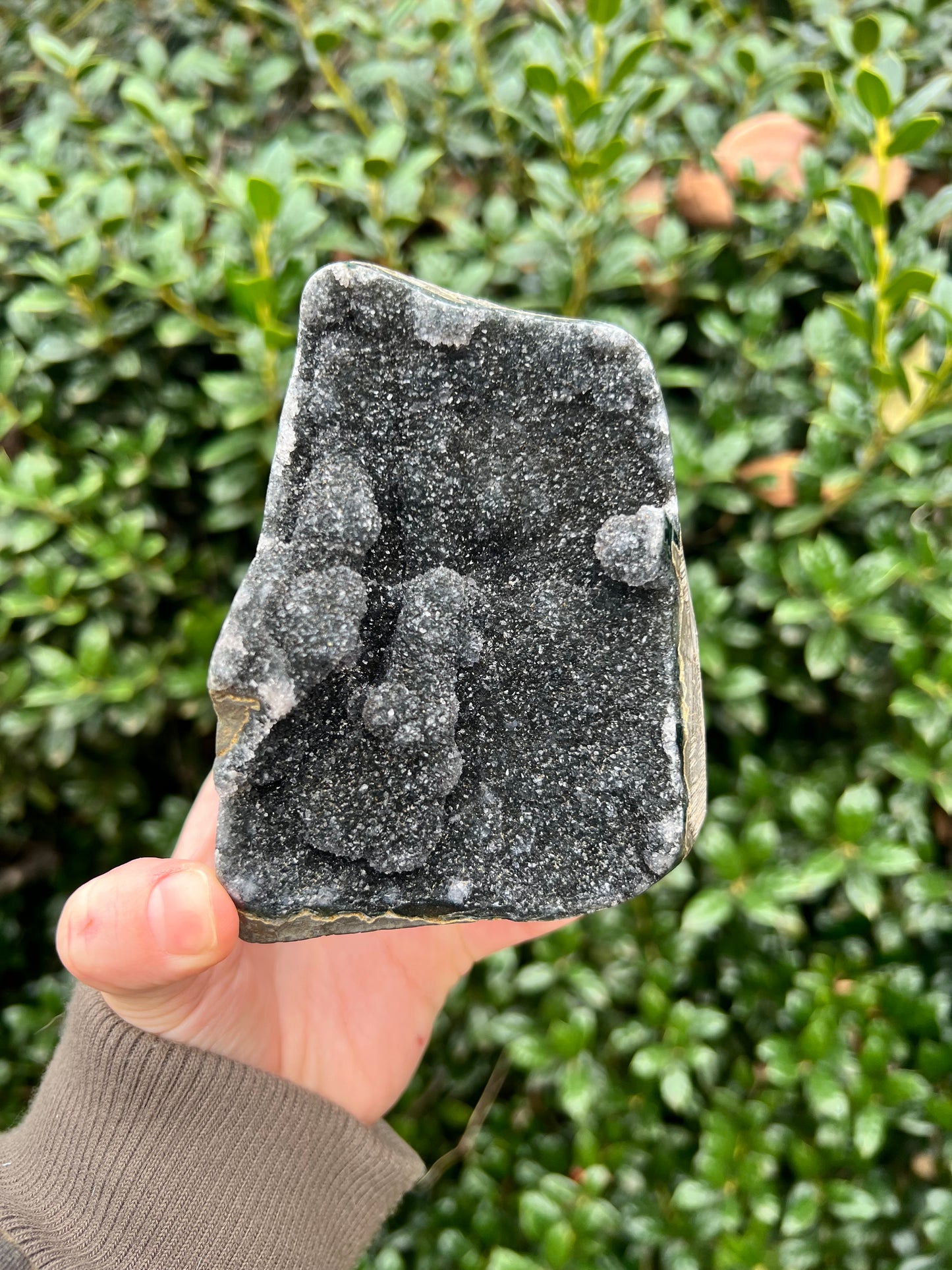 Black Amethyst Cut Bases