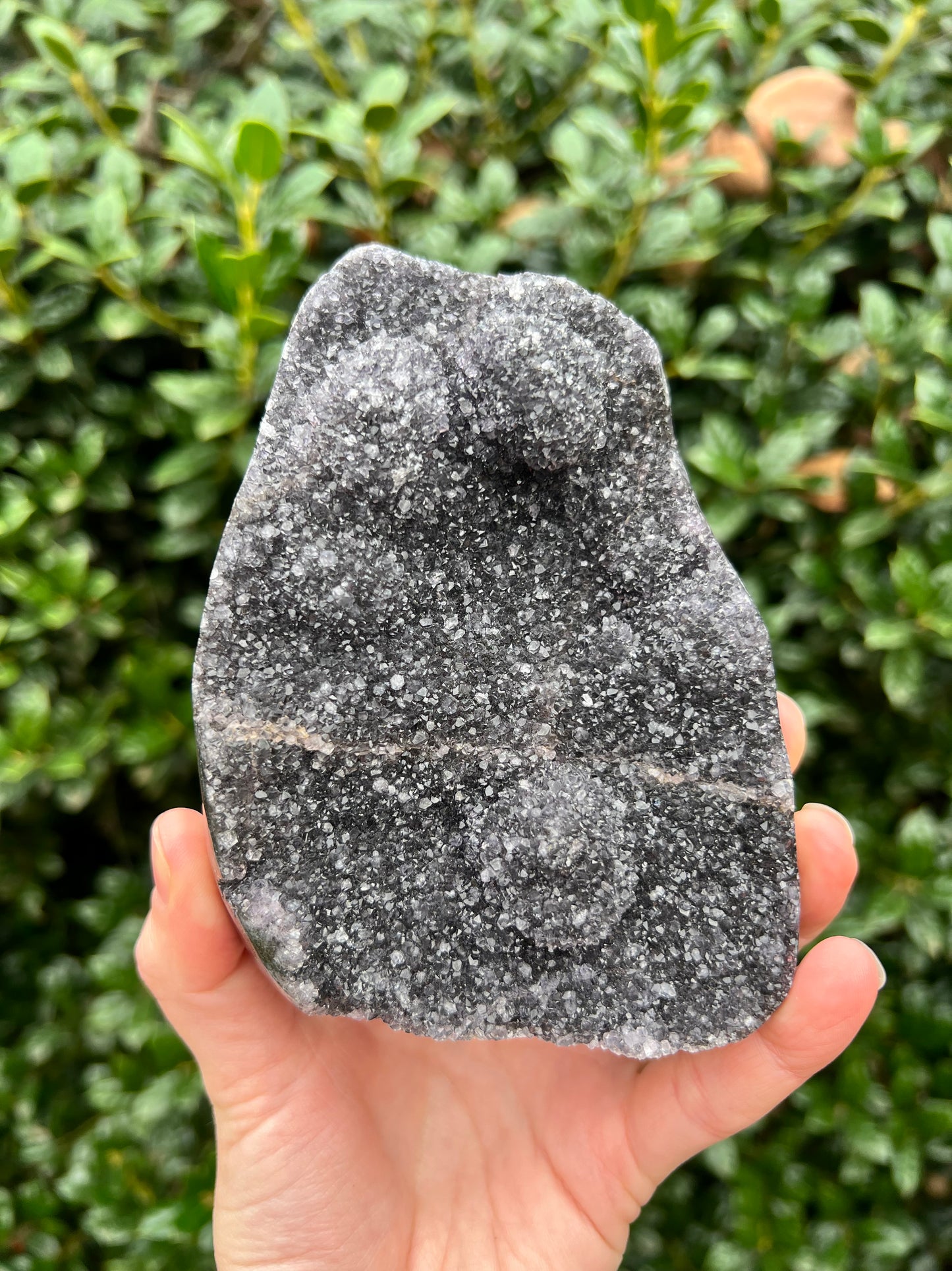 Black Amethyst Cut Bases