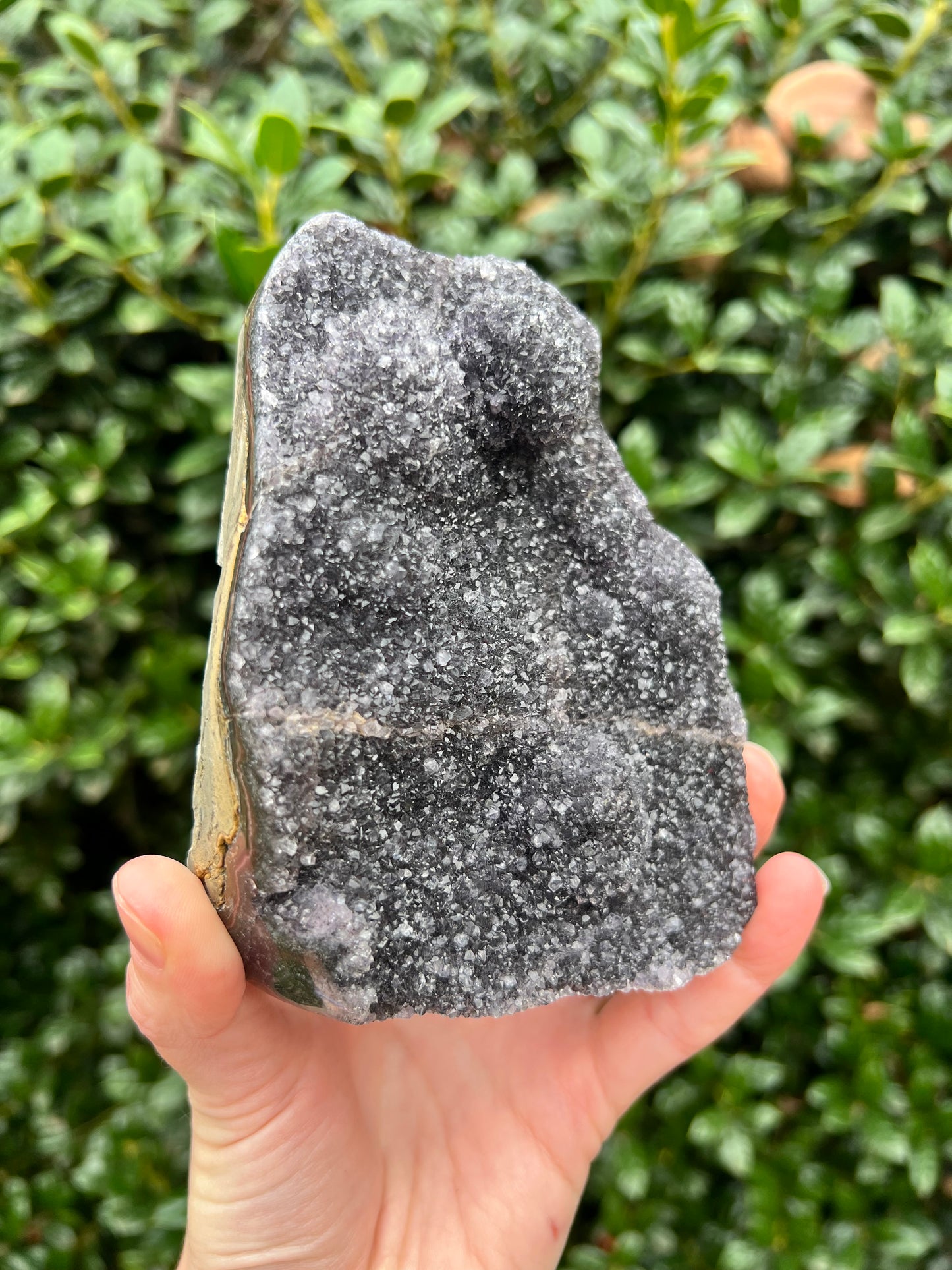 Black Amethyst Cut Bases