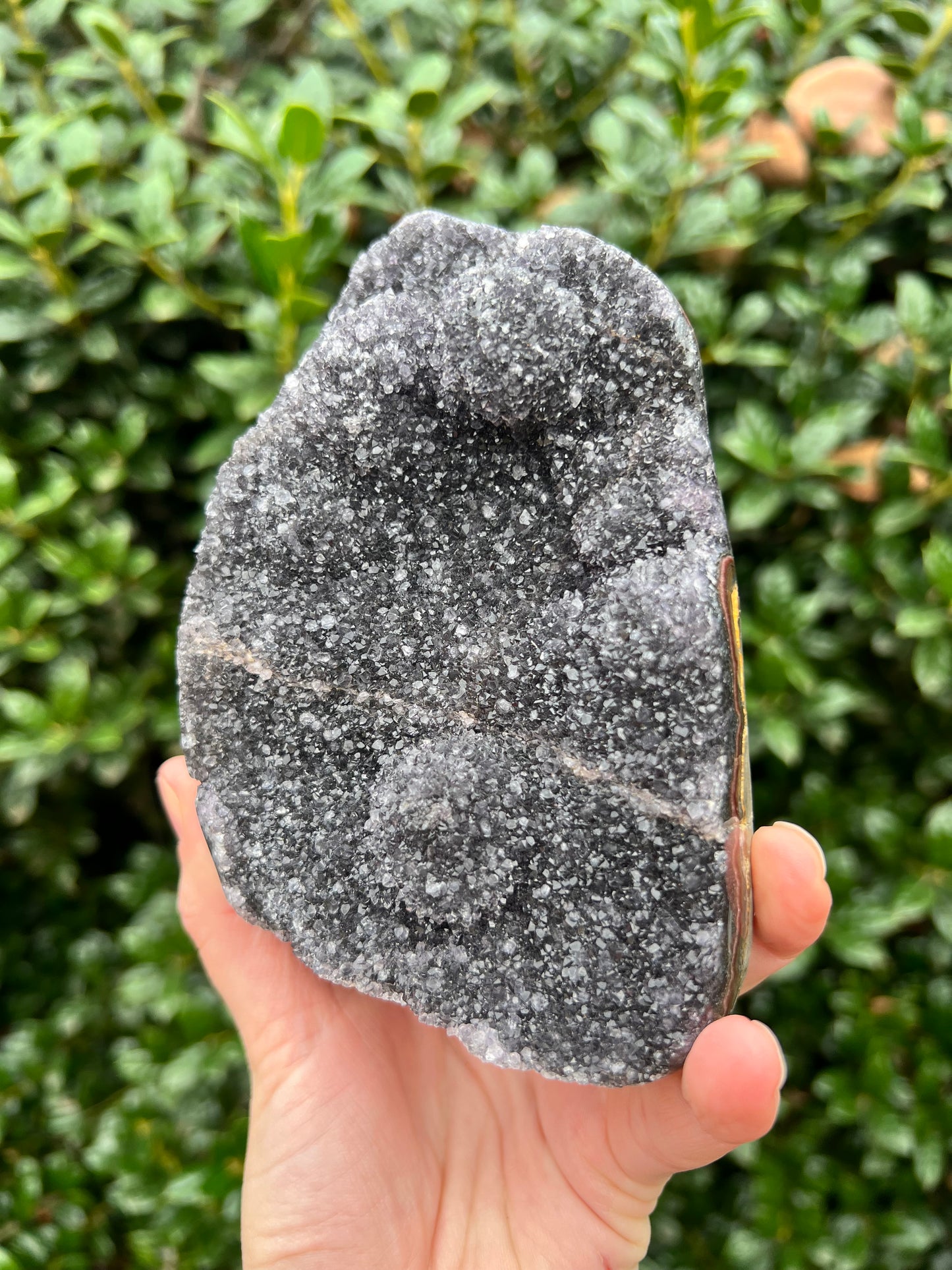 Black Amethyst Cut Bases