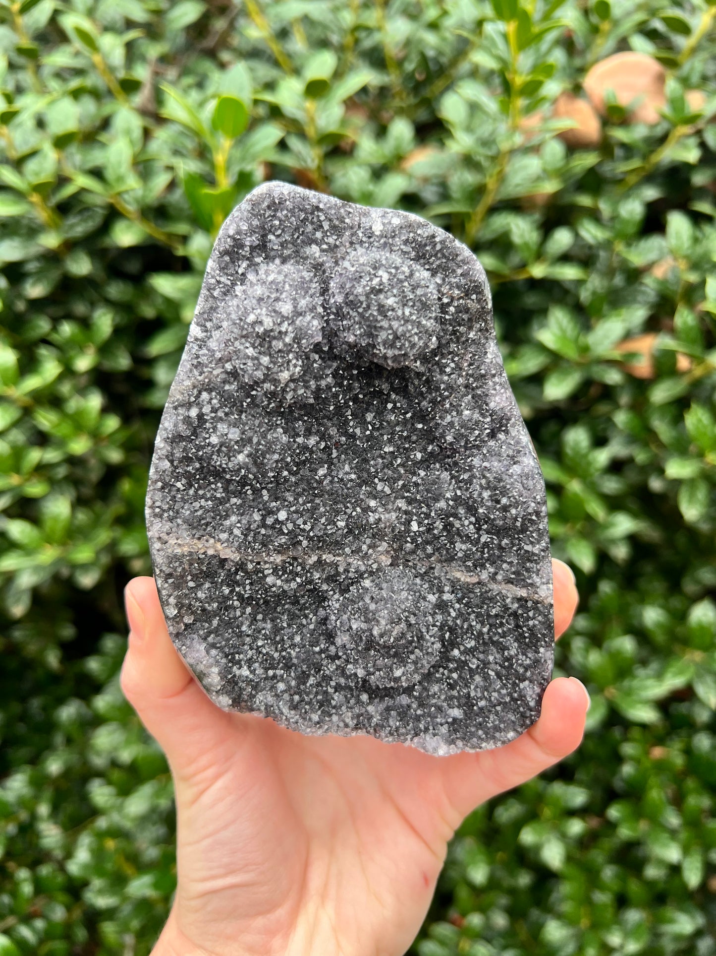 Black Amethyst Cut Bases