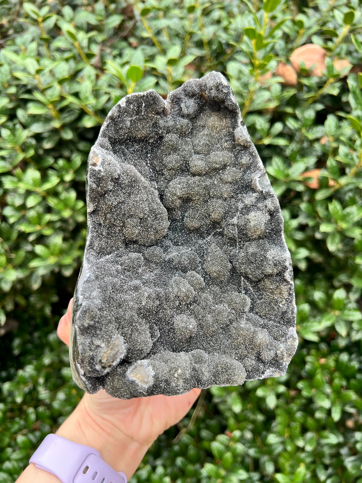 Black Amethyst Cut Bases