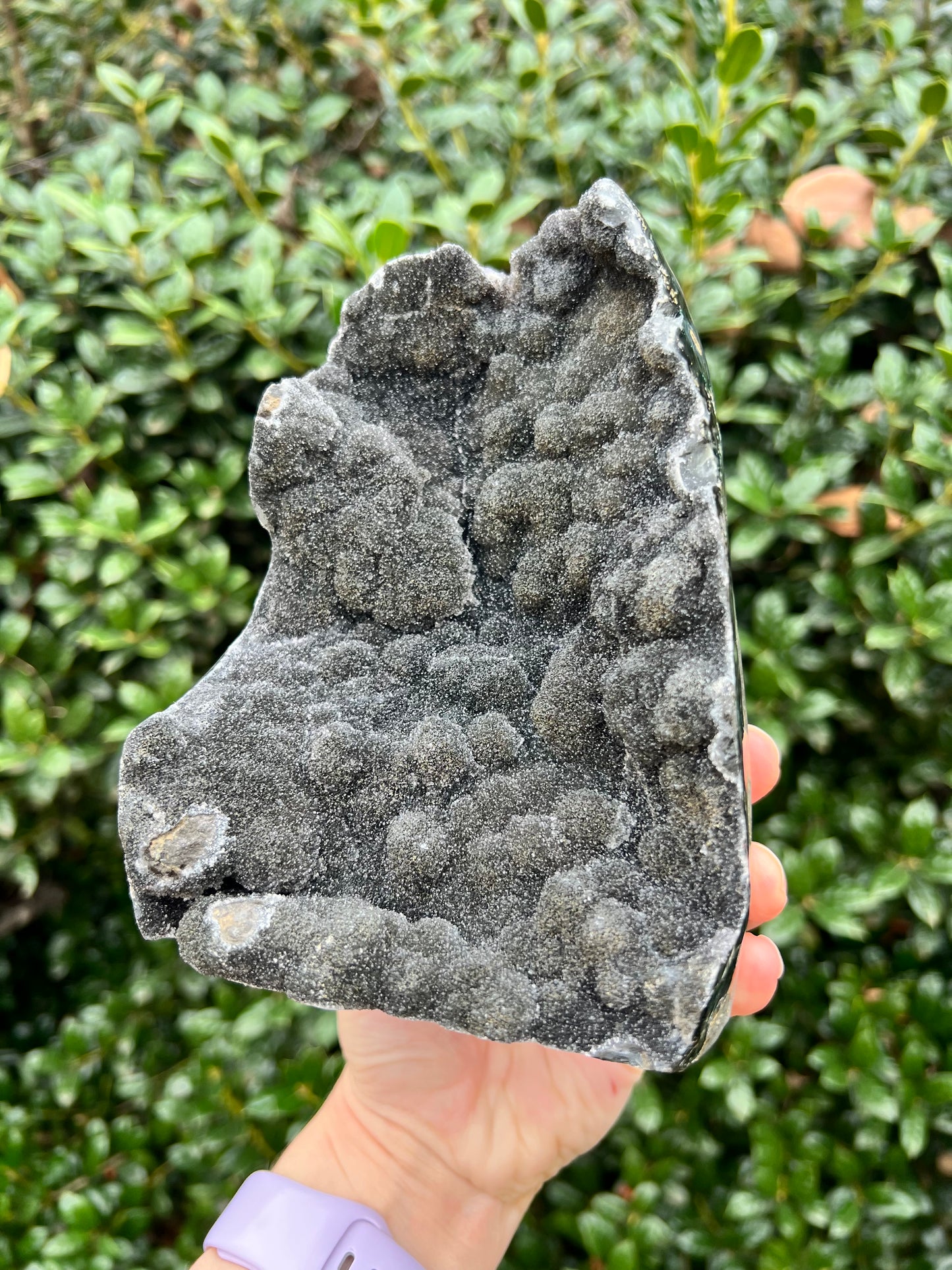 Black Amethyst Cut Bases