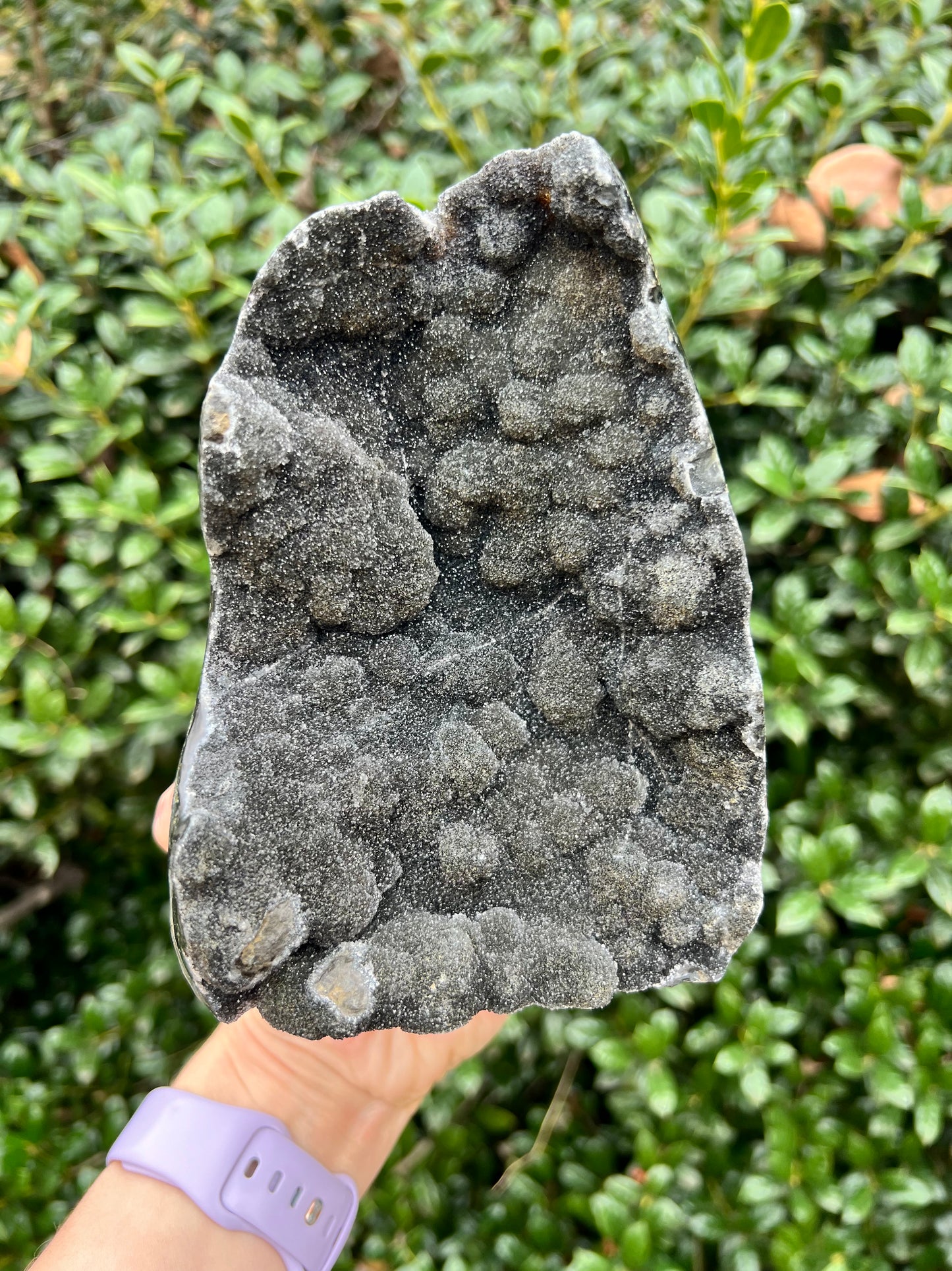 Black Amethyst Cut Bases