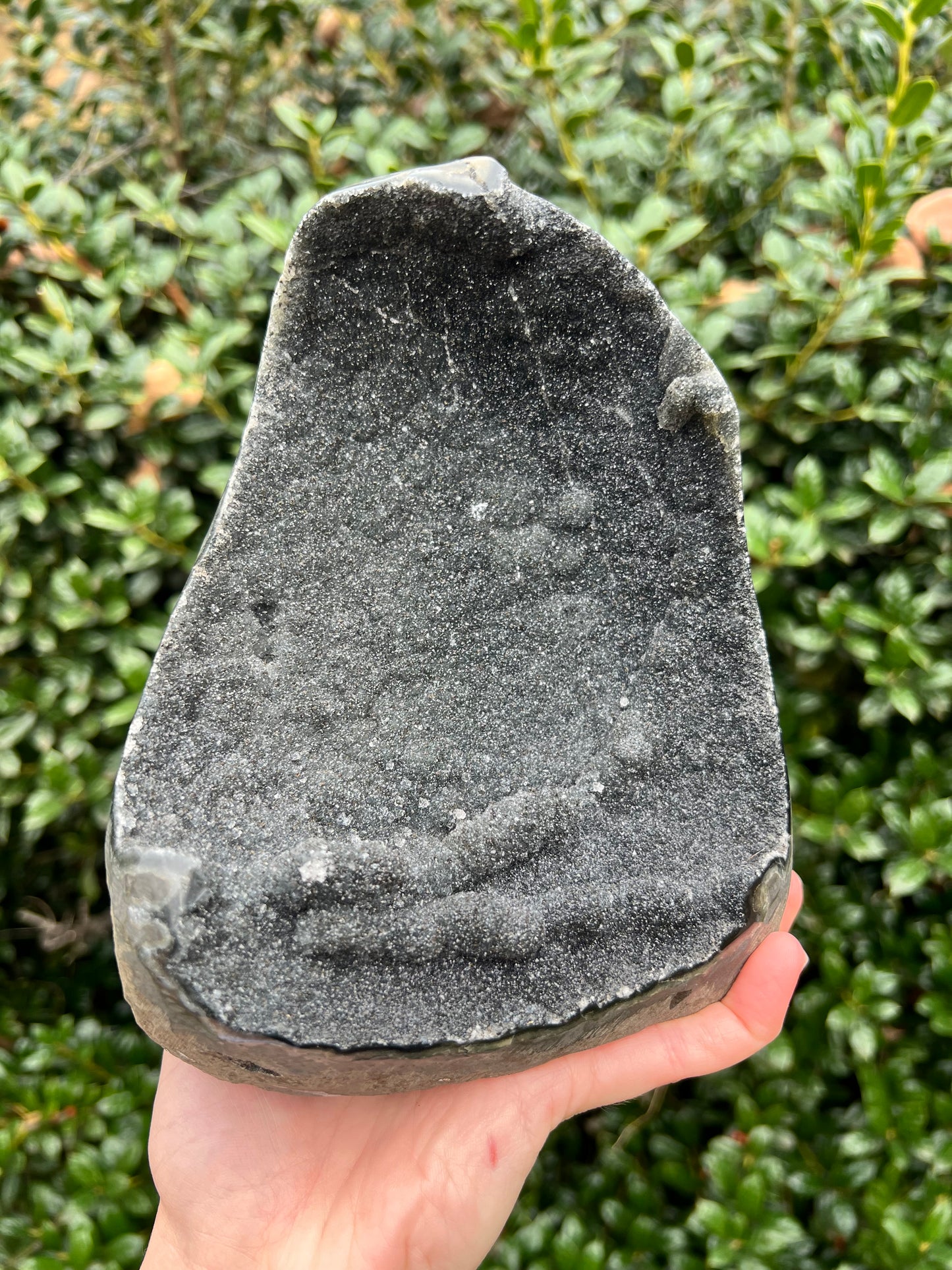 Black Amethyst Cut Bases