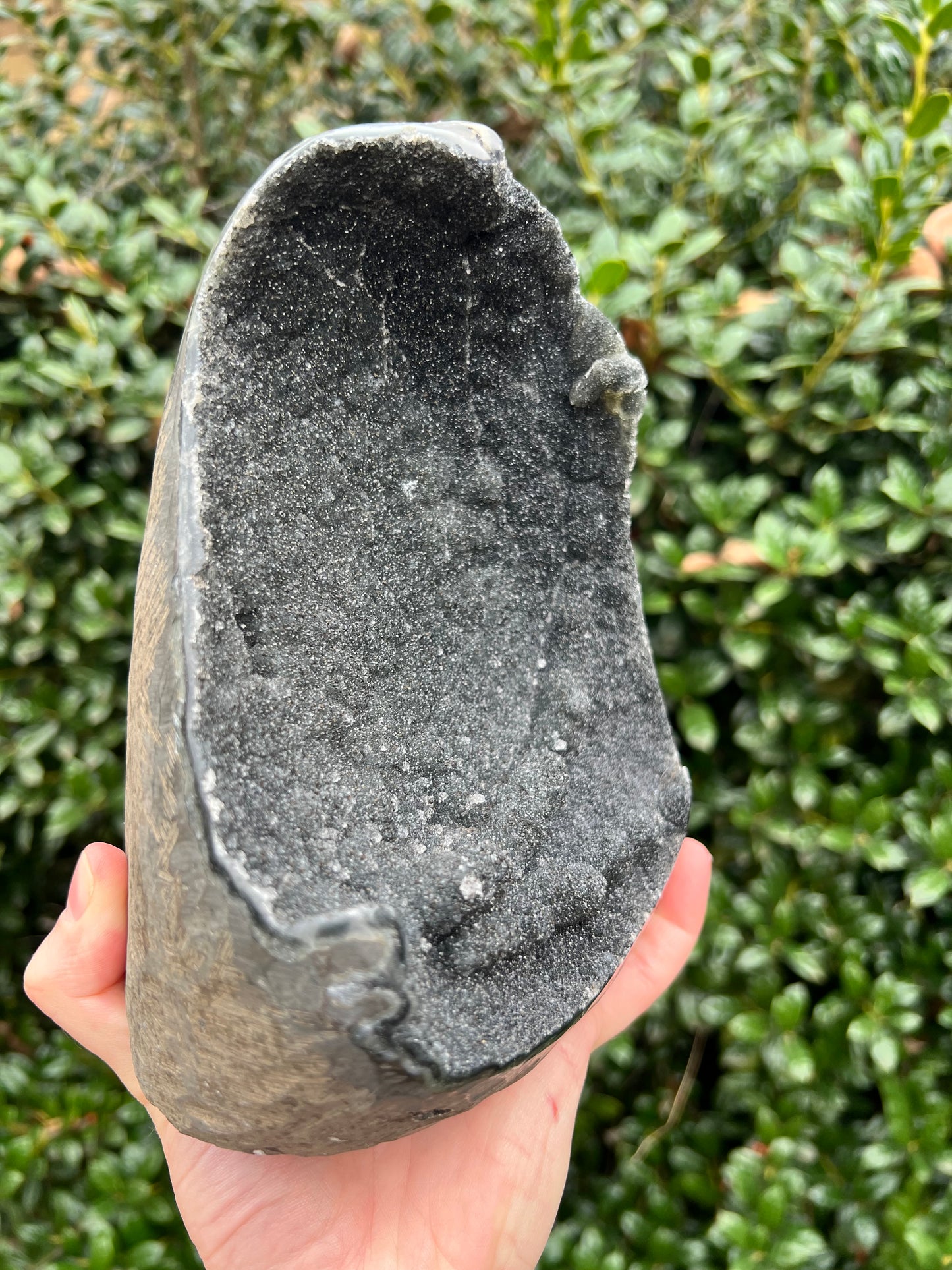 Black Amethyst Cut Bases