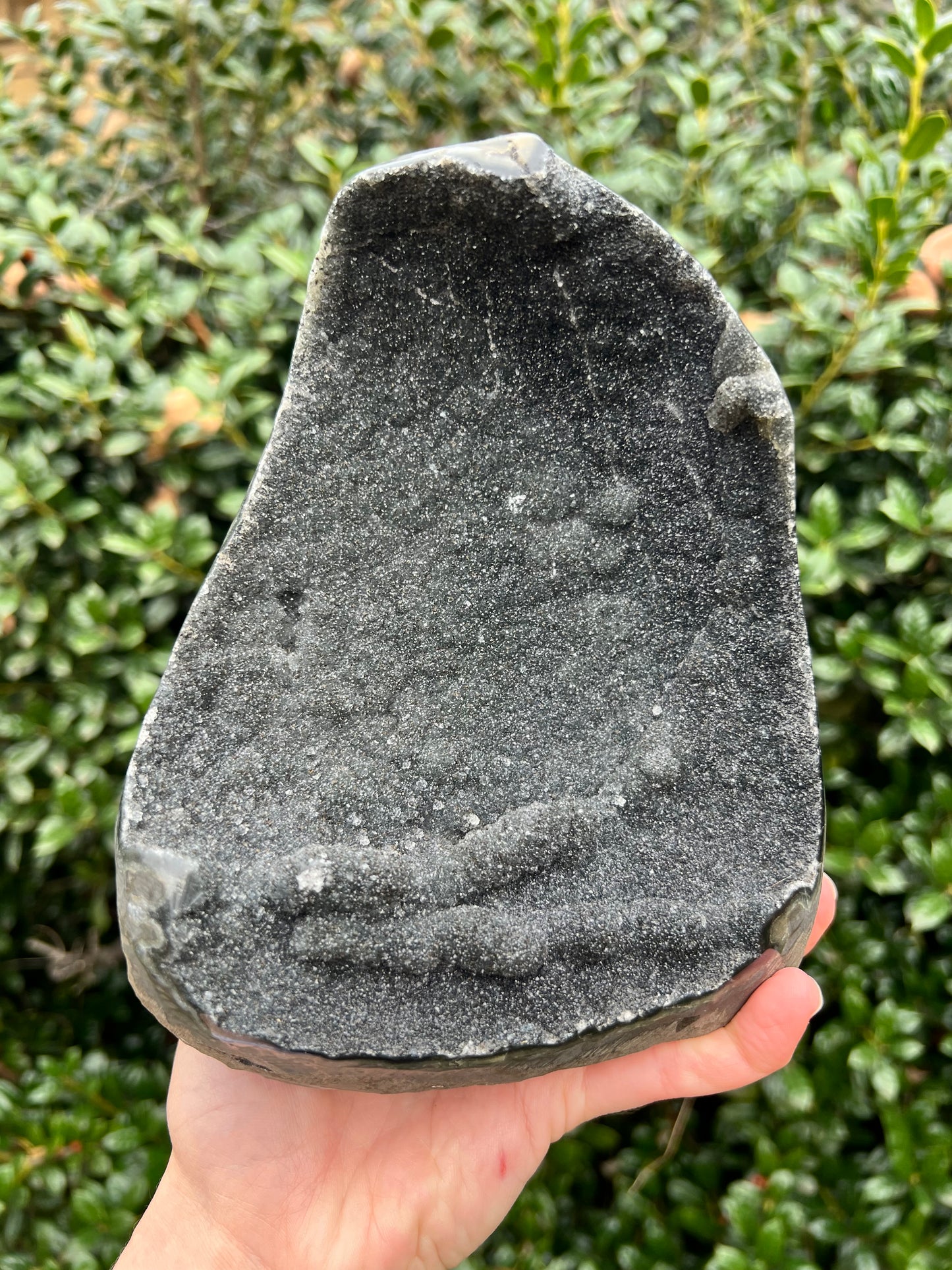 Black Amethyst Cut Bases