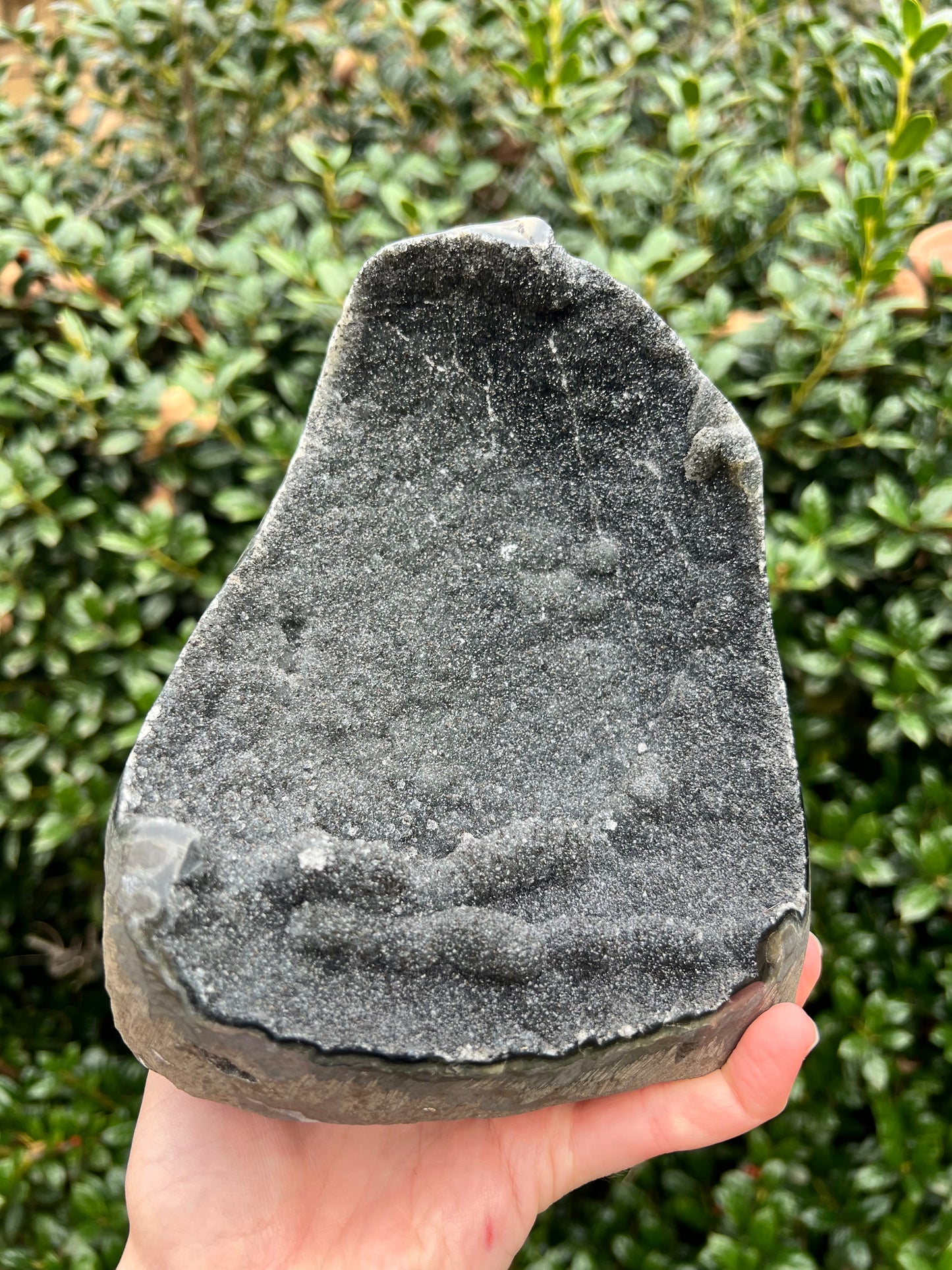 Black Amethyst Cut Bases