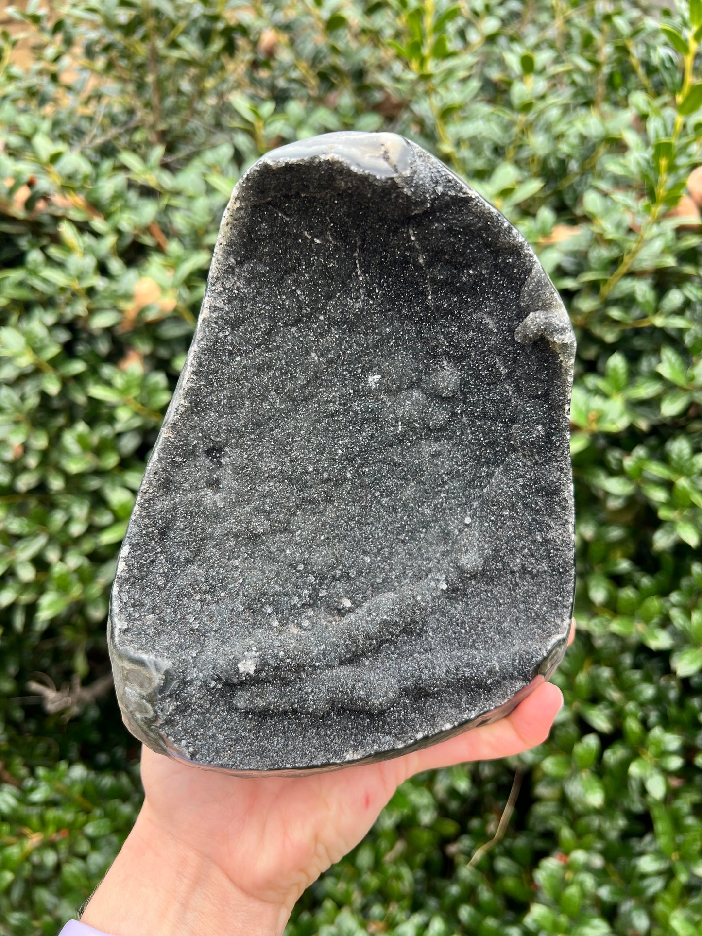 Black Amethyst Cut Bases