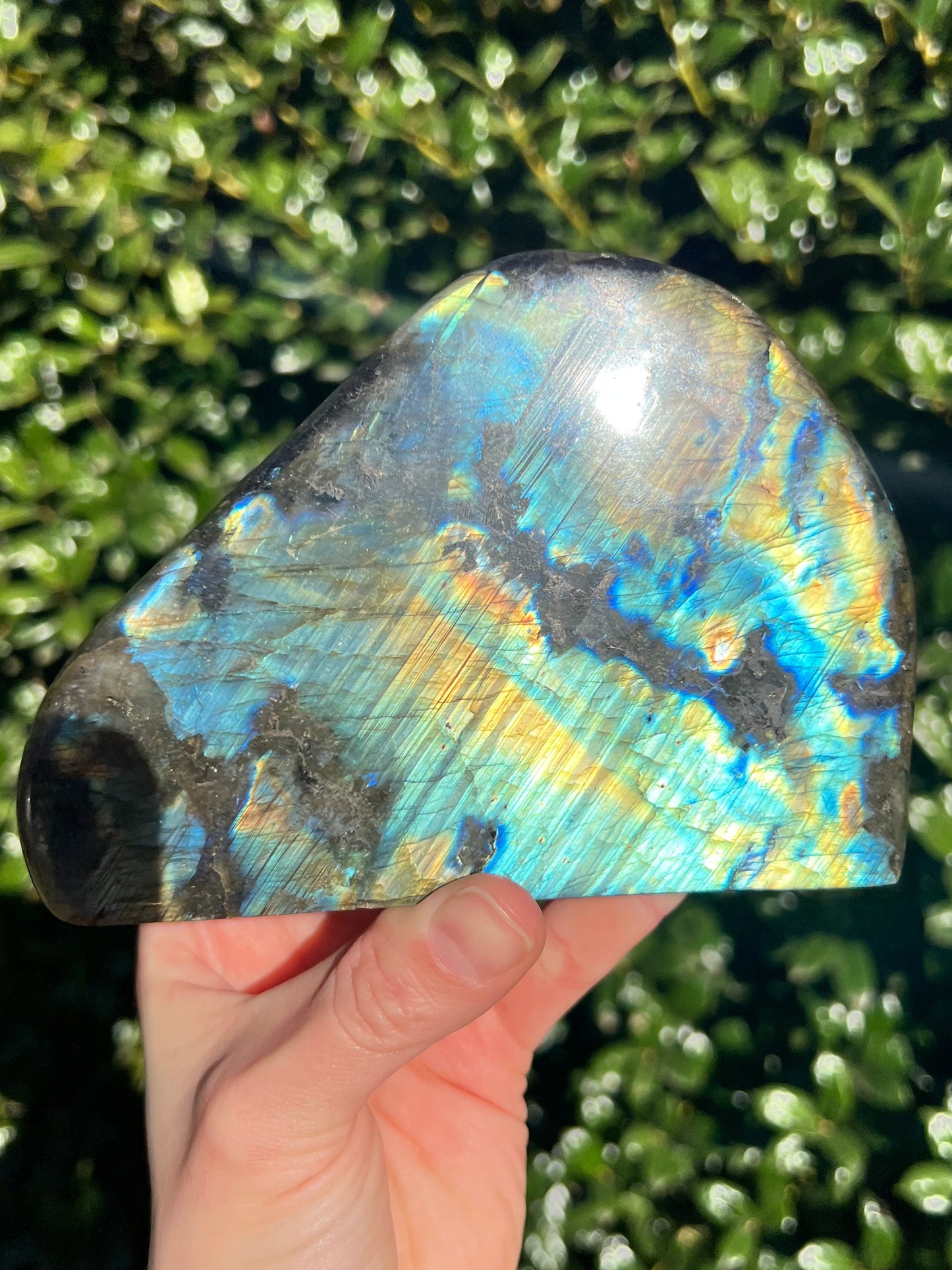 Labradorite Cut Bases