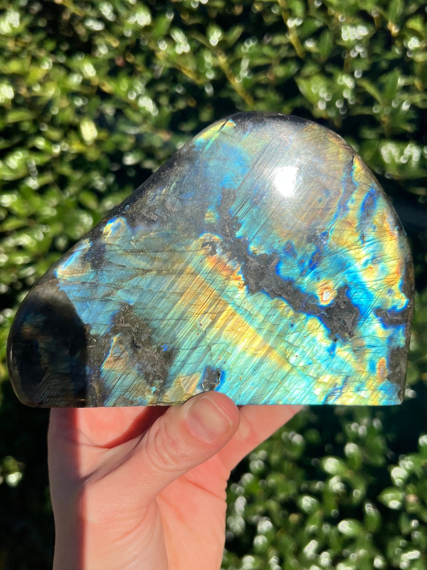 Labradorite Cut Bases