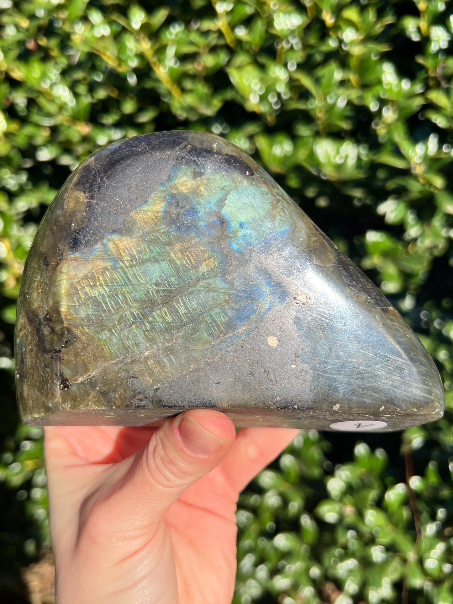 Labradorite Cut Bases