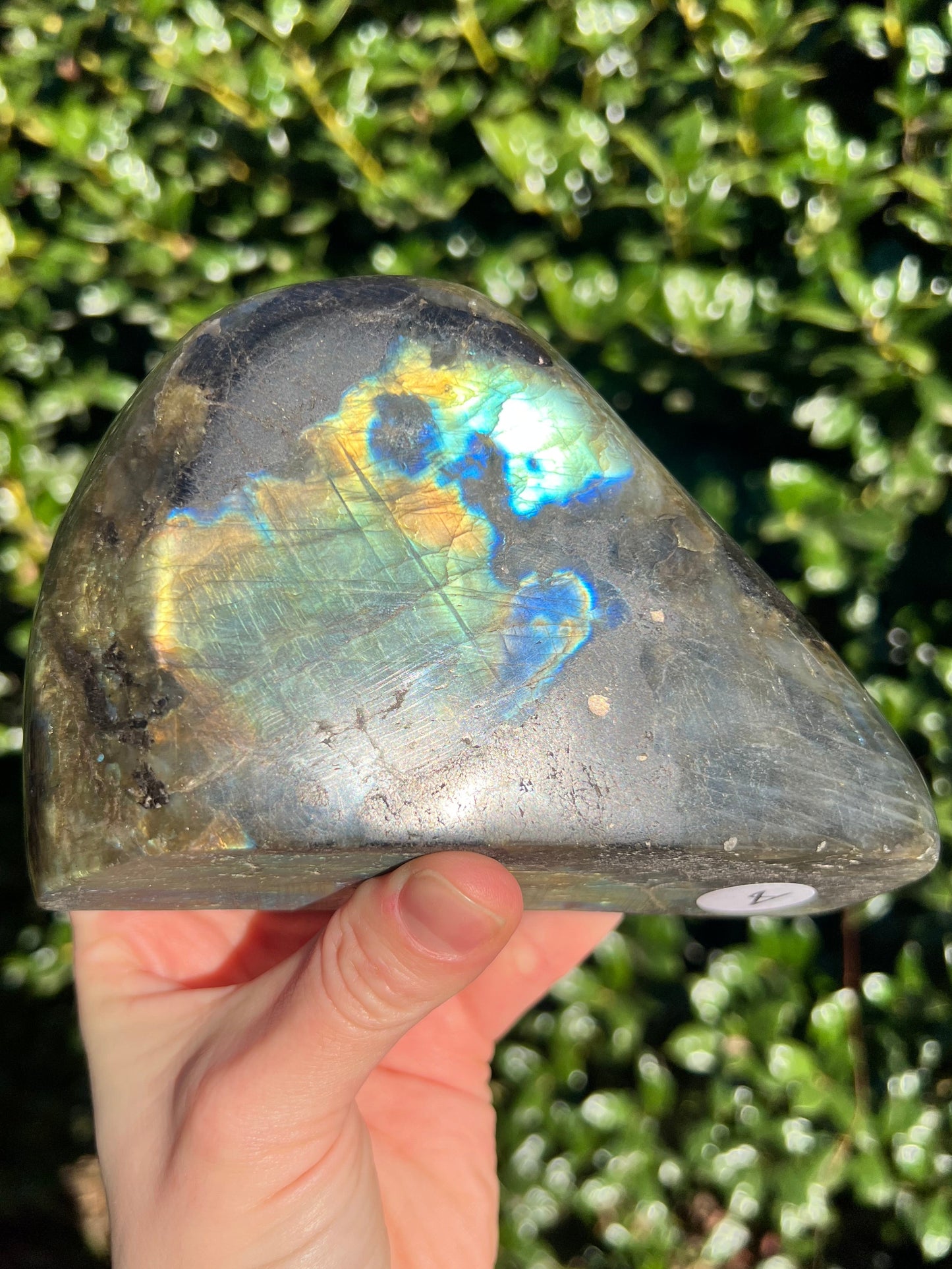 Labradorite Cut Bases