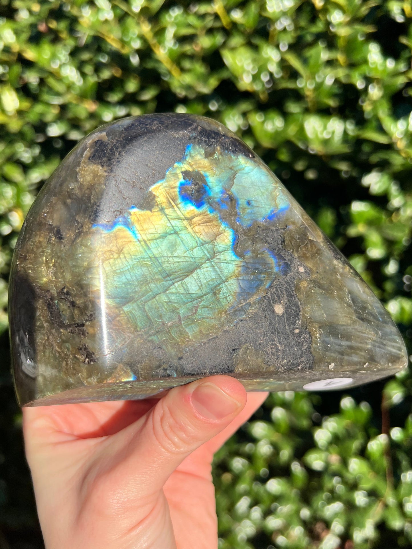 Labradorite Cut Bases