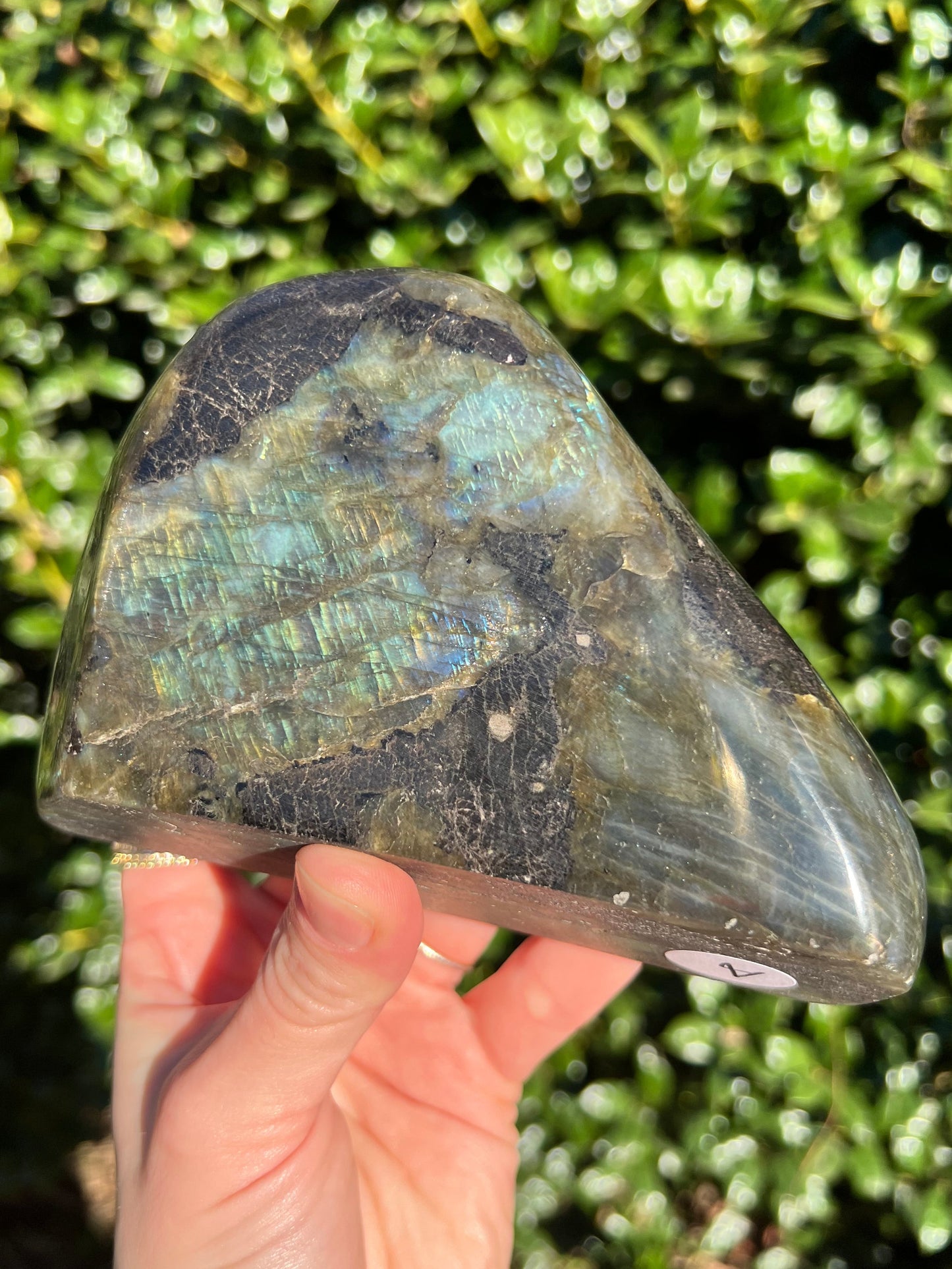 Labradorite Cut Bases