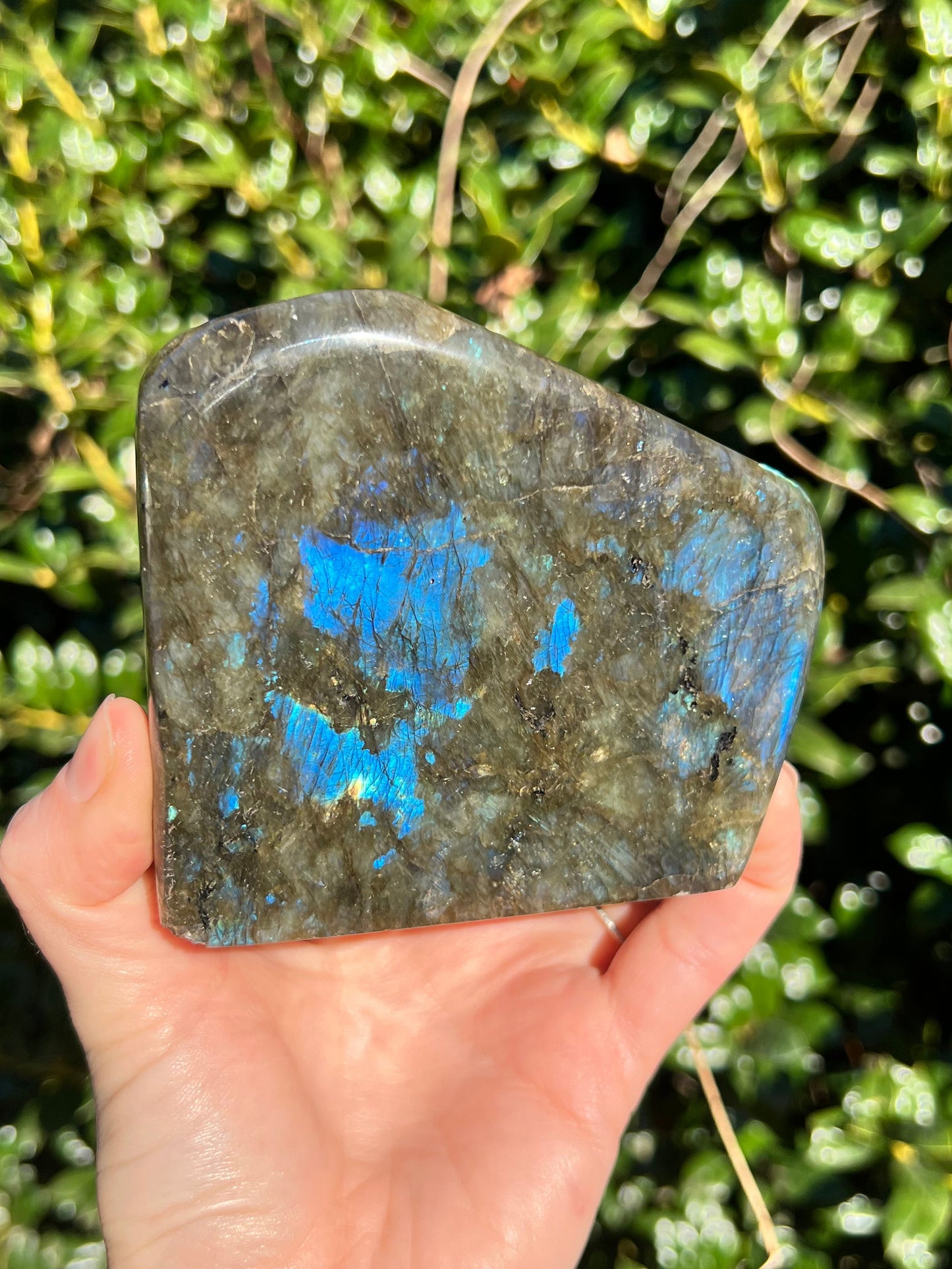 Labradorite Cut Bases