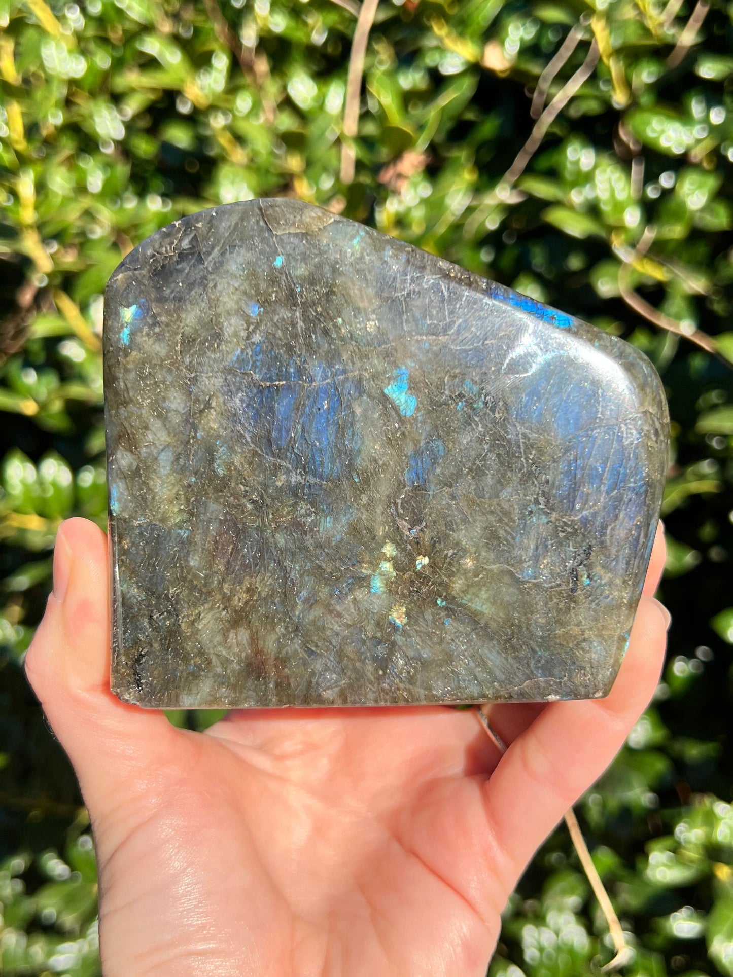 Labradorite Cut Bases