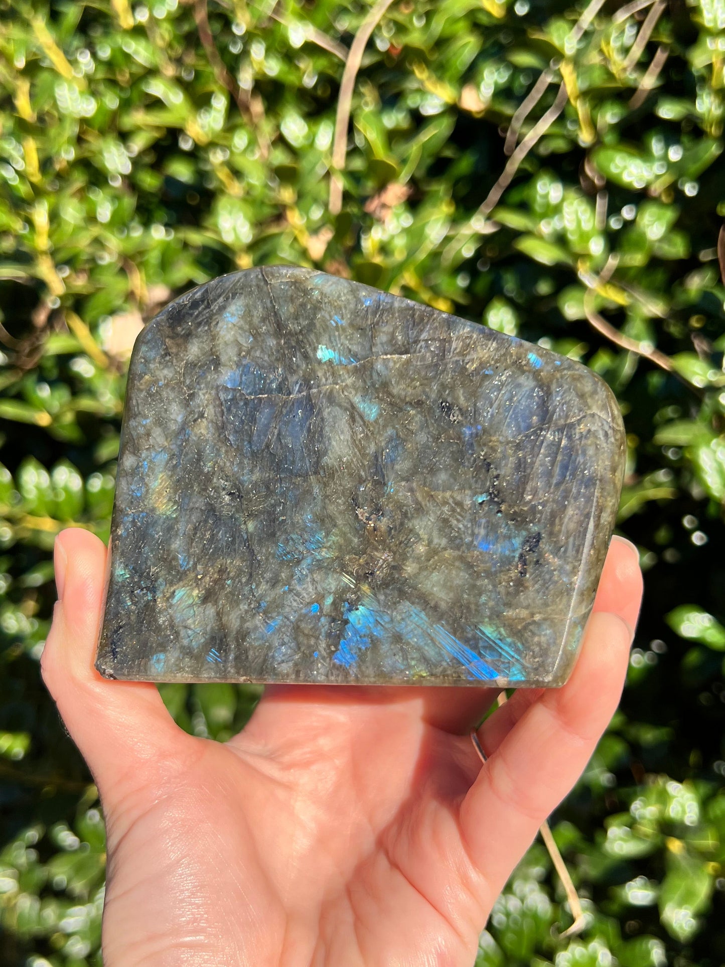 Labradorite Cut Bases