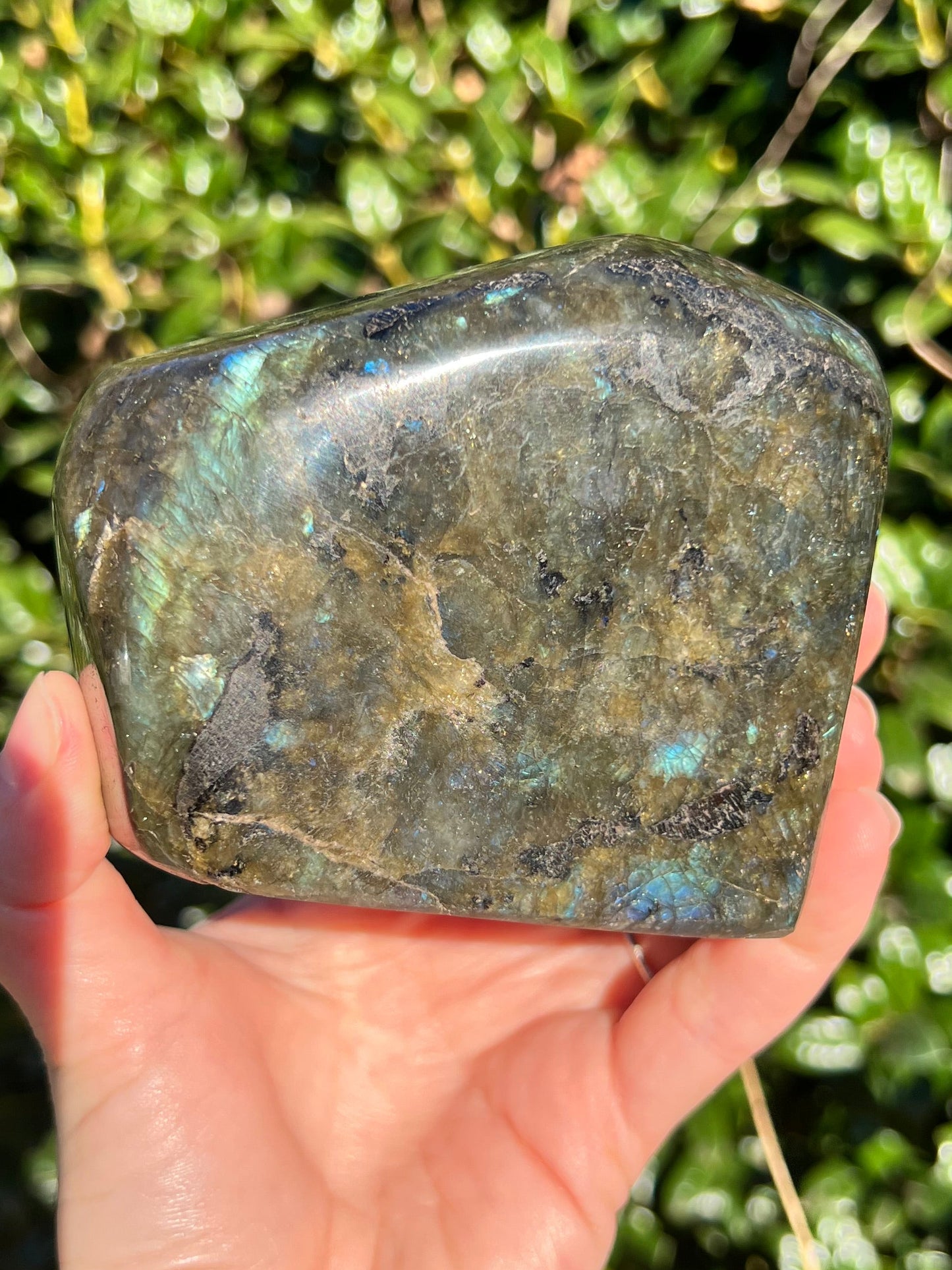Labradorite Cut Bases