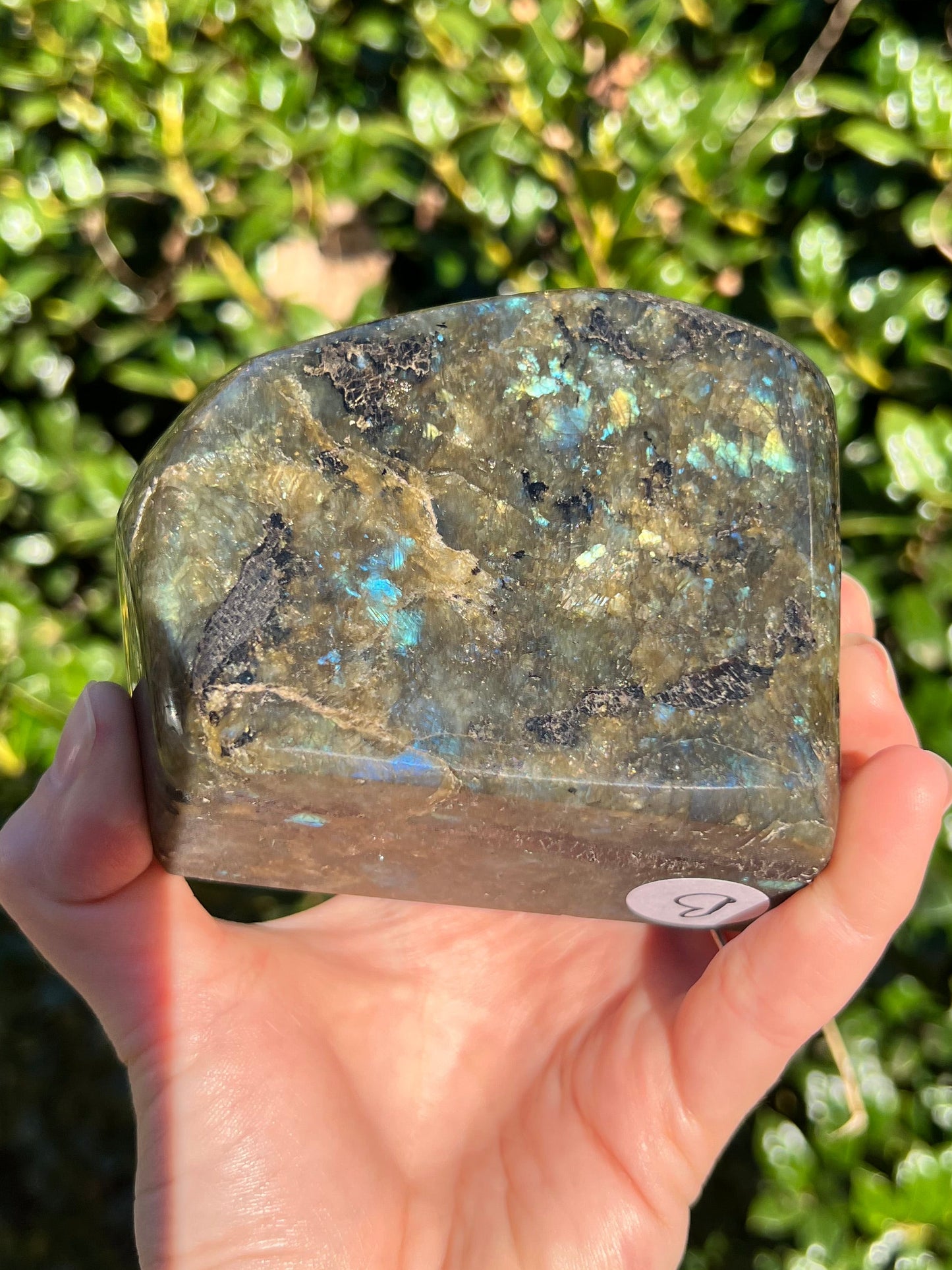 Labradorite Cut Bases