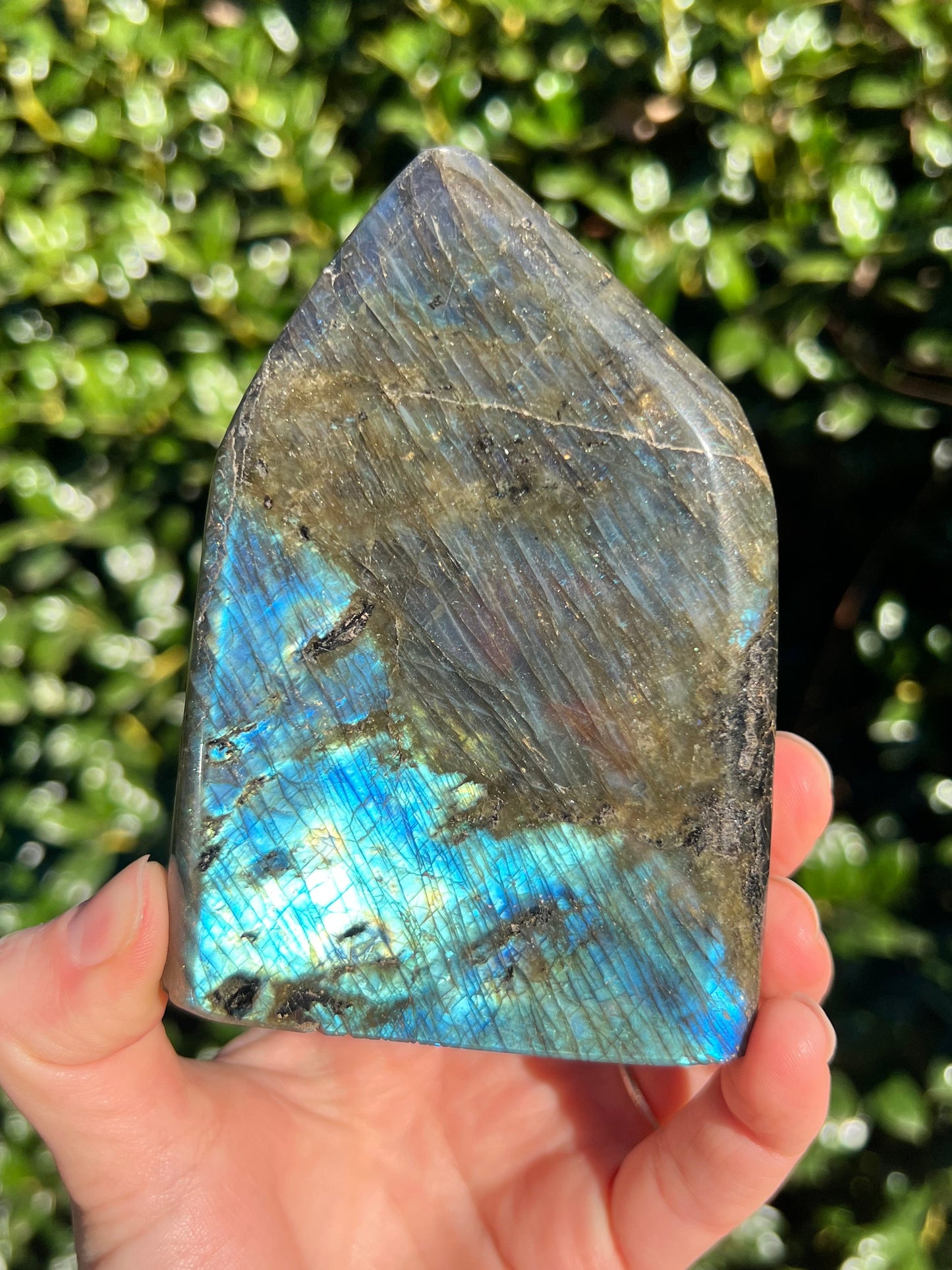Labradorite Cut Bases