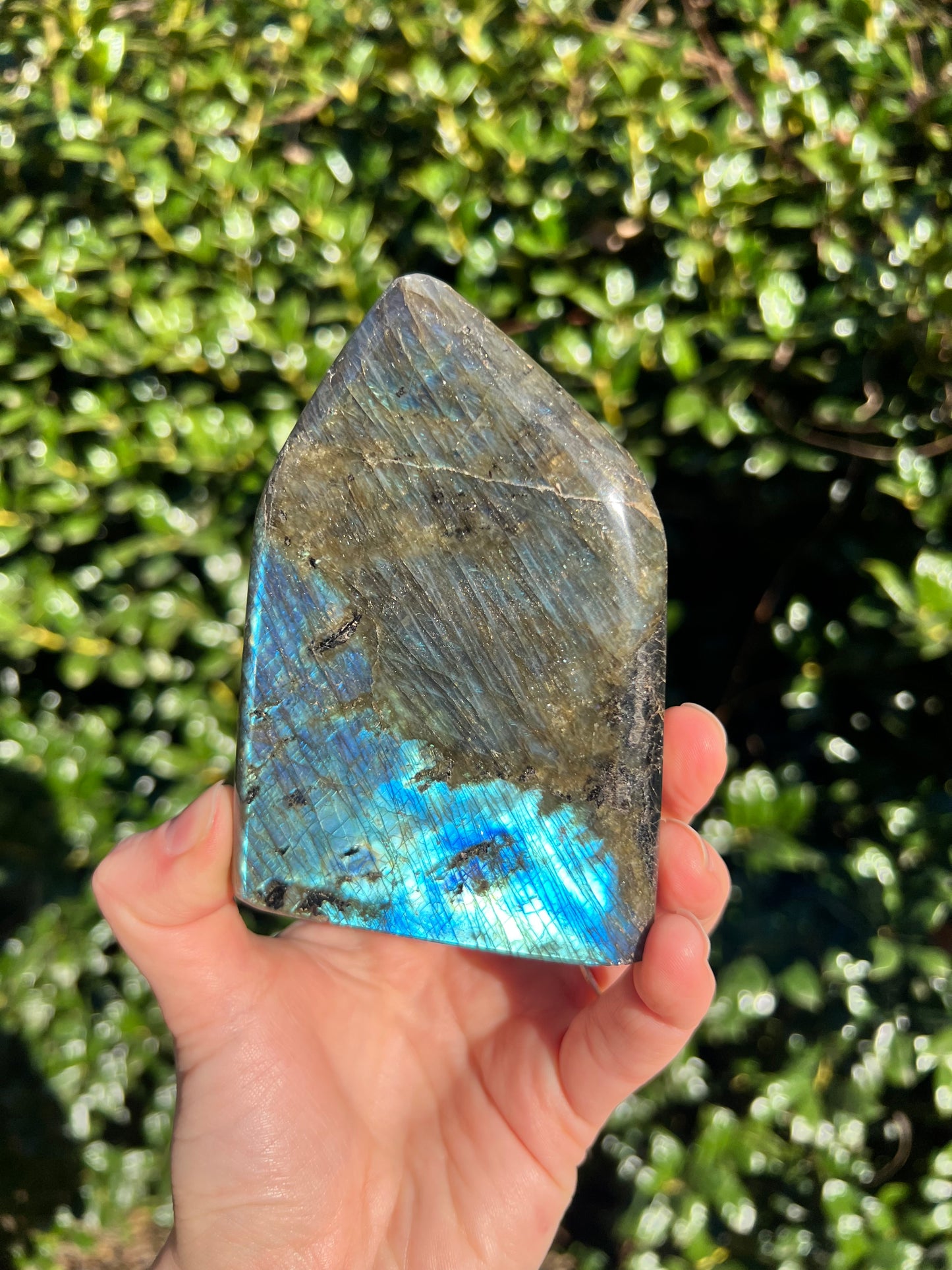 Labradorite Cut Bases