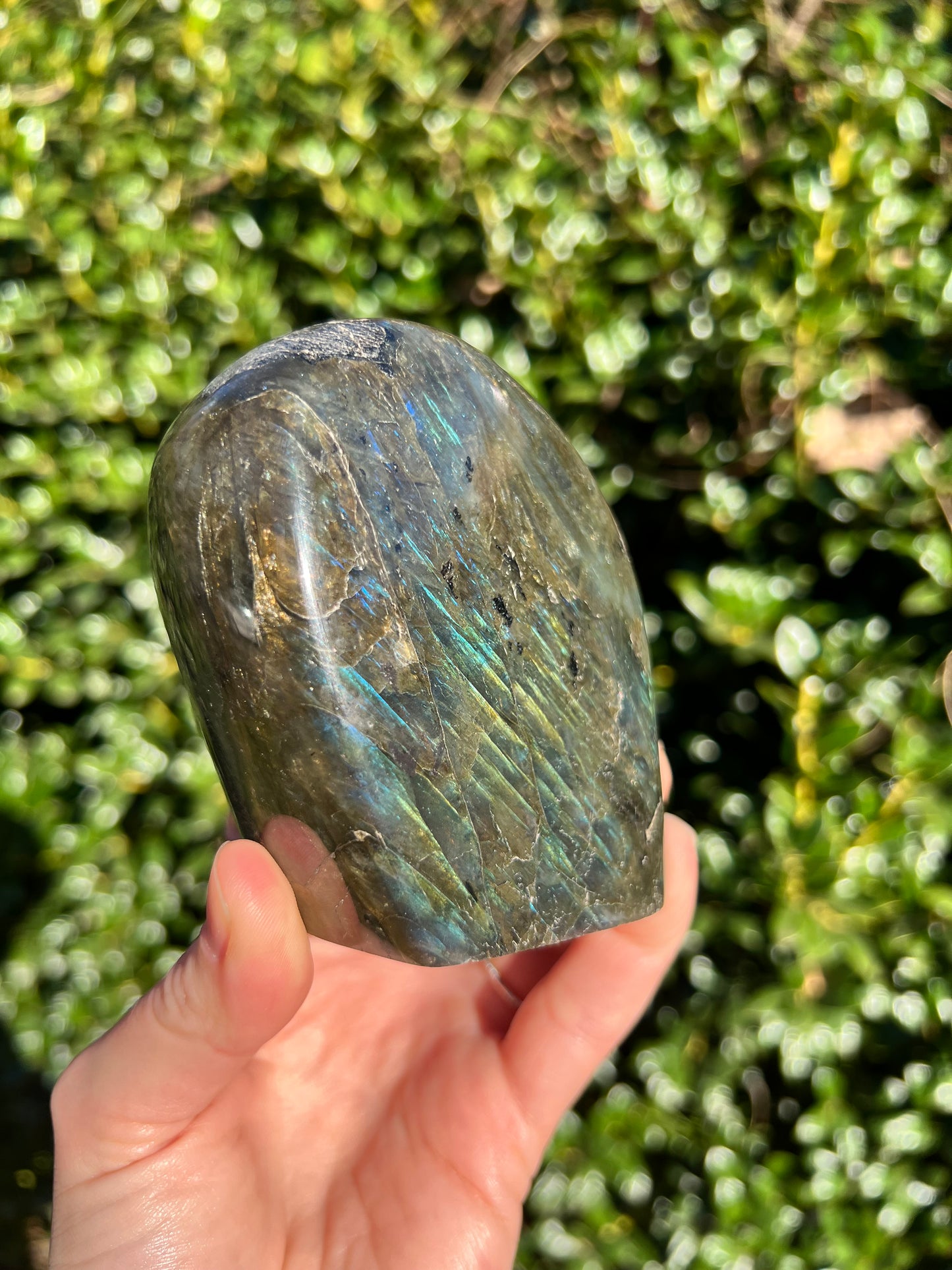 Labradorite Cut Bases