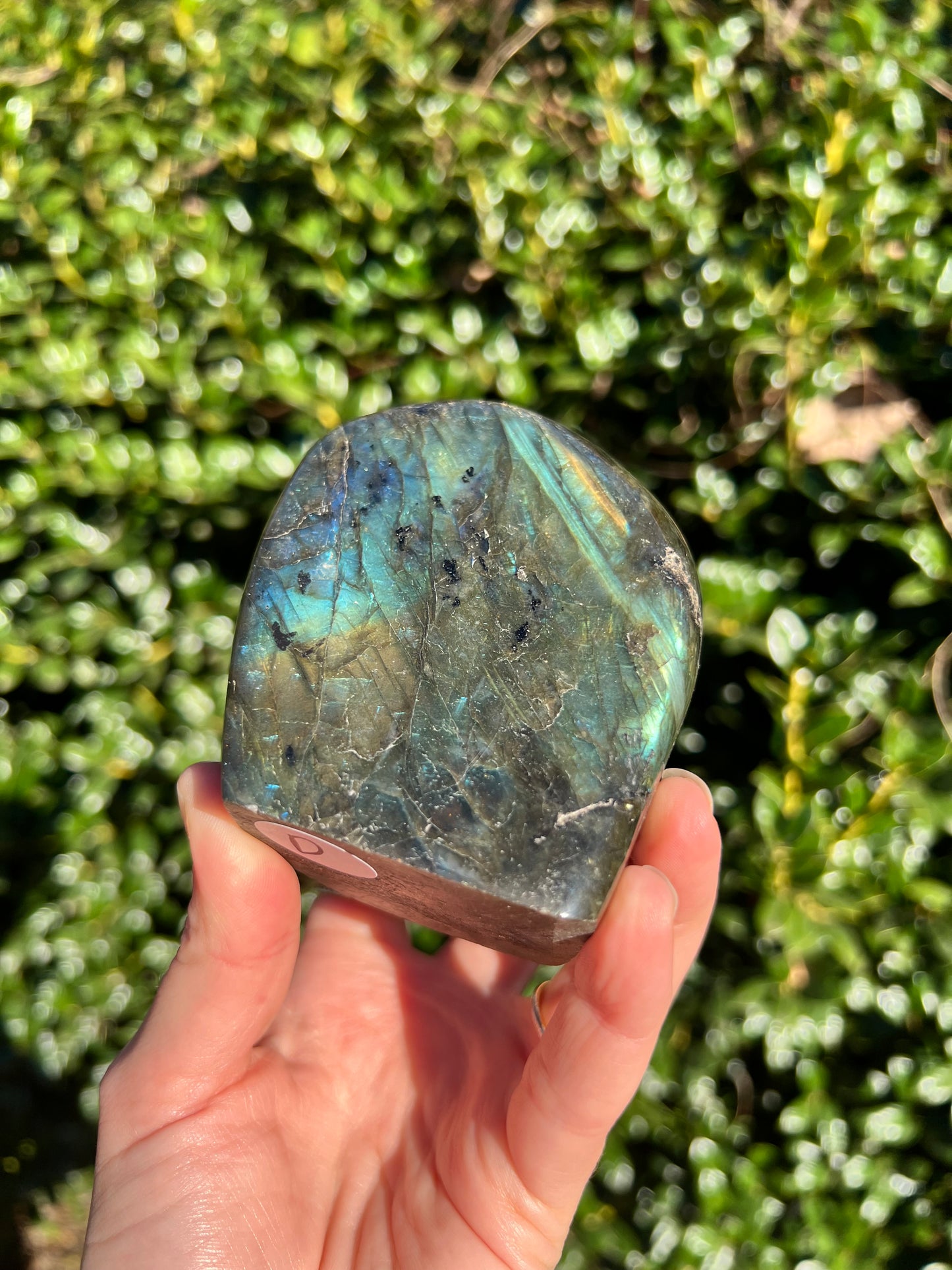Labradorite Cut Bases