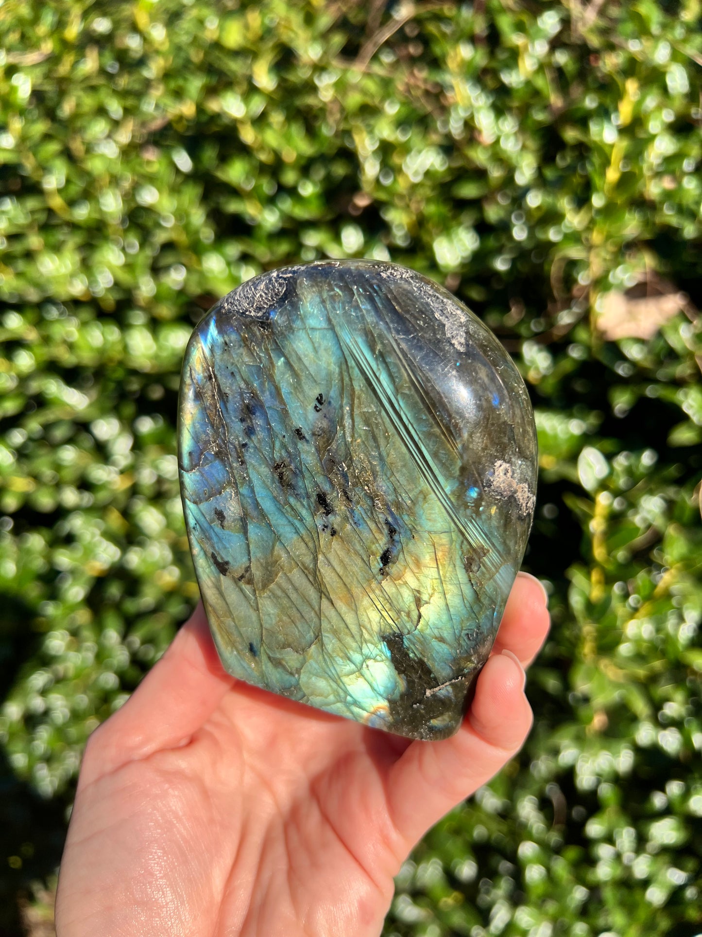 Labradorite Cut Bases
