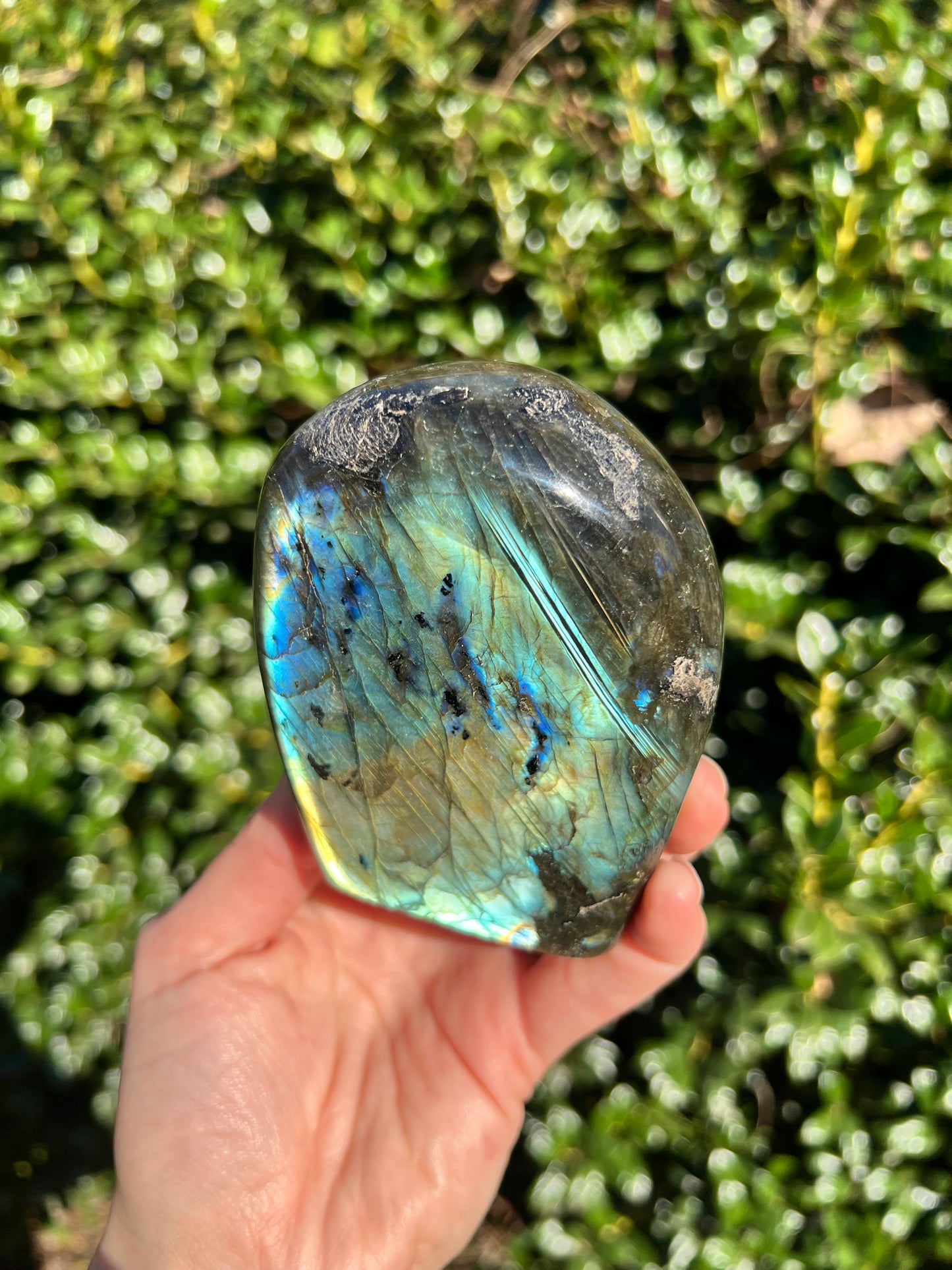 Labradorite Cut Bases