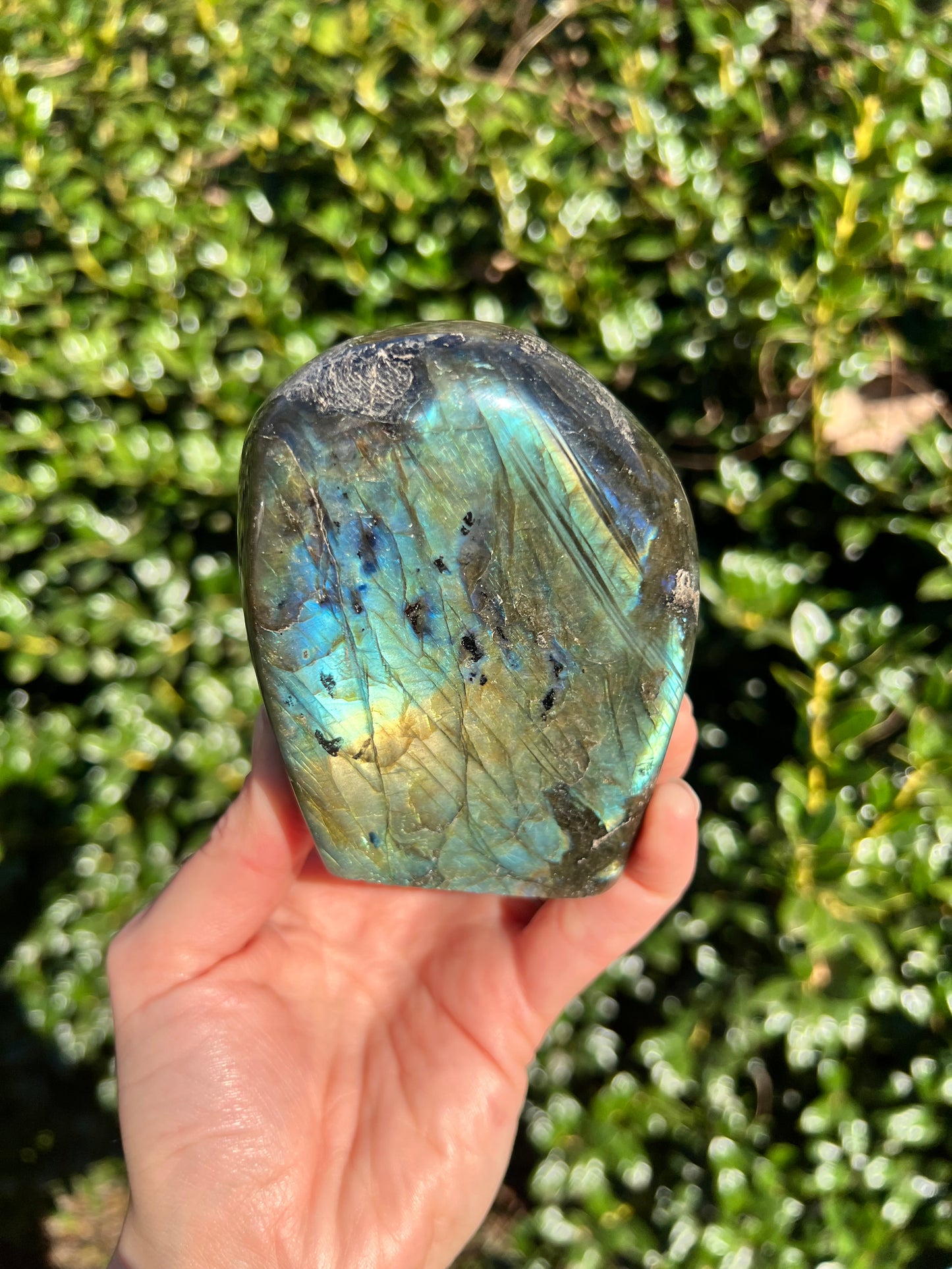 Labradorite Cut Bases