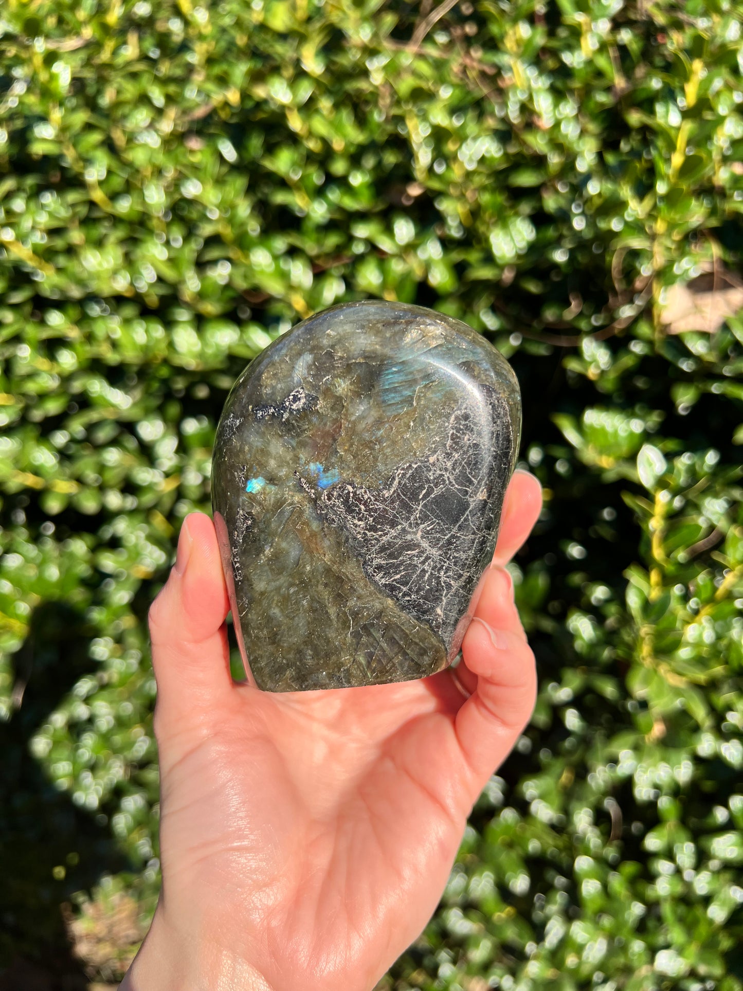 Labradorite Cut Bases