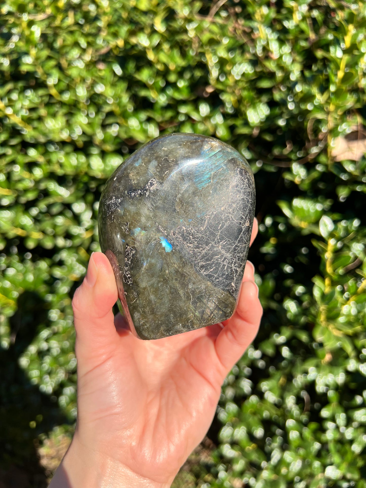 Labradorite Cut Bases
