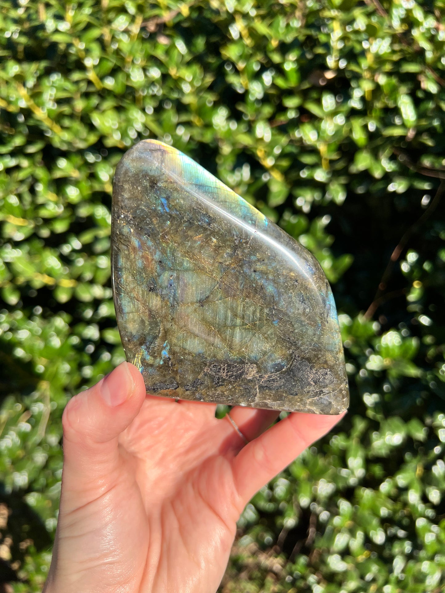 Labradorite Cut Bases