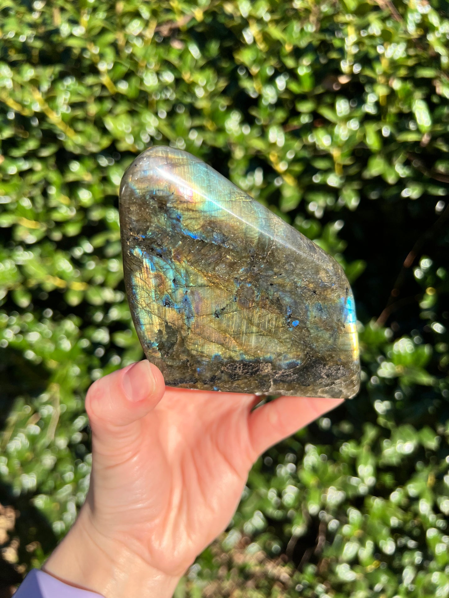 Labradorite Cut Bases