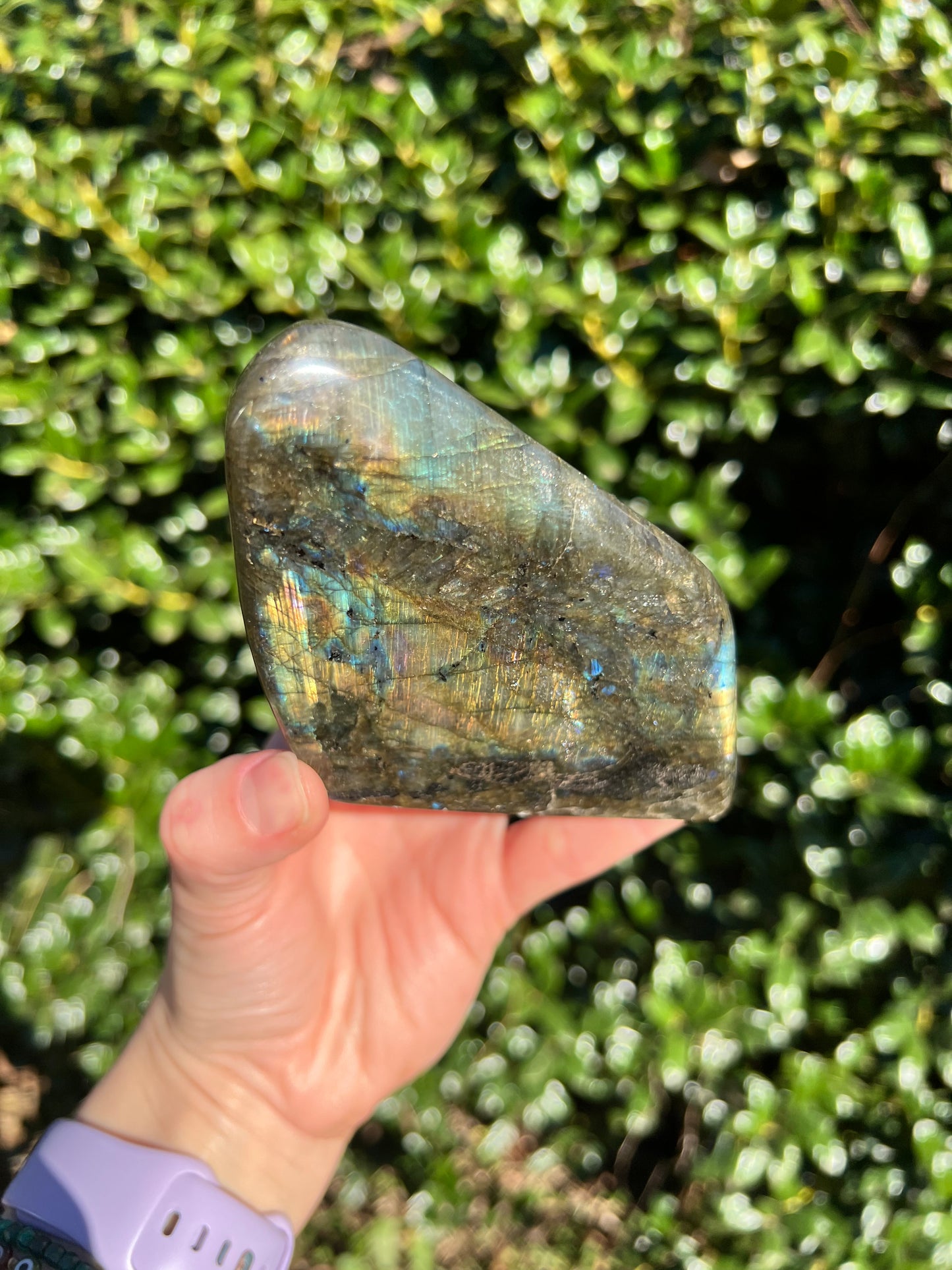 Labradorite Cut Bases