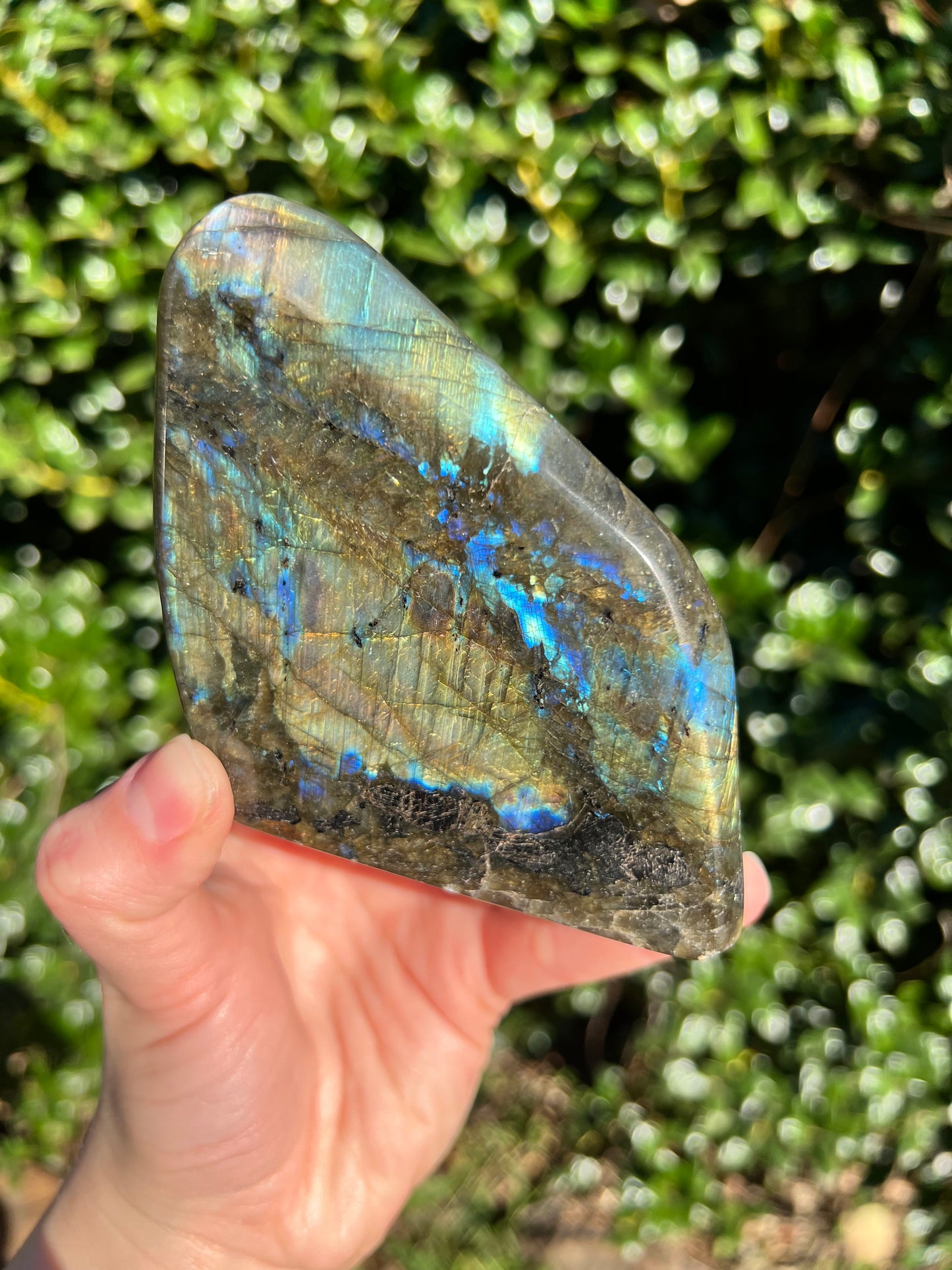 Labradorite Cut Bases