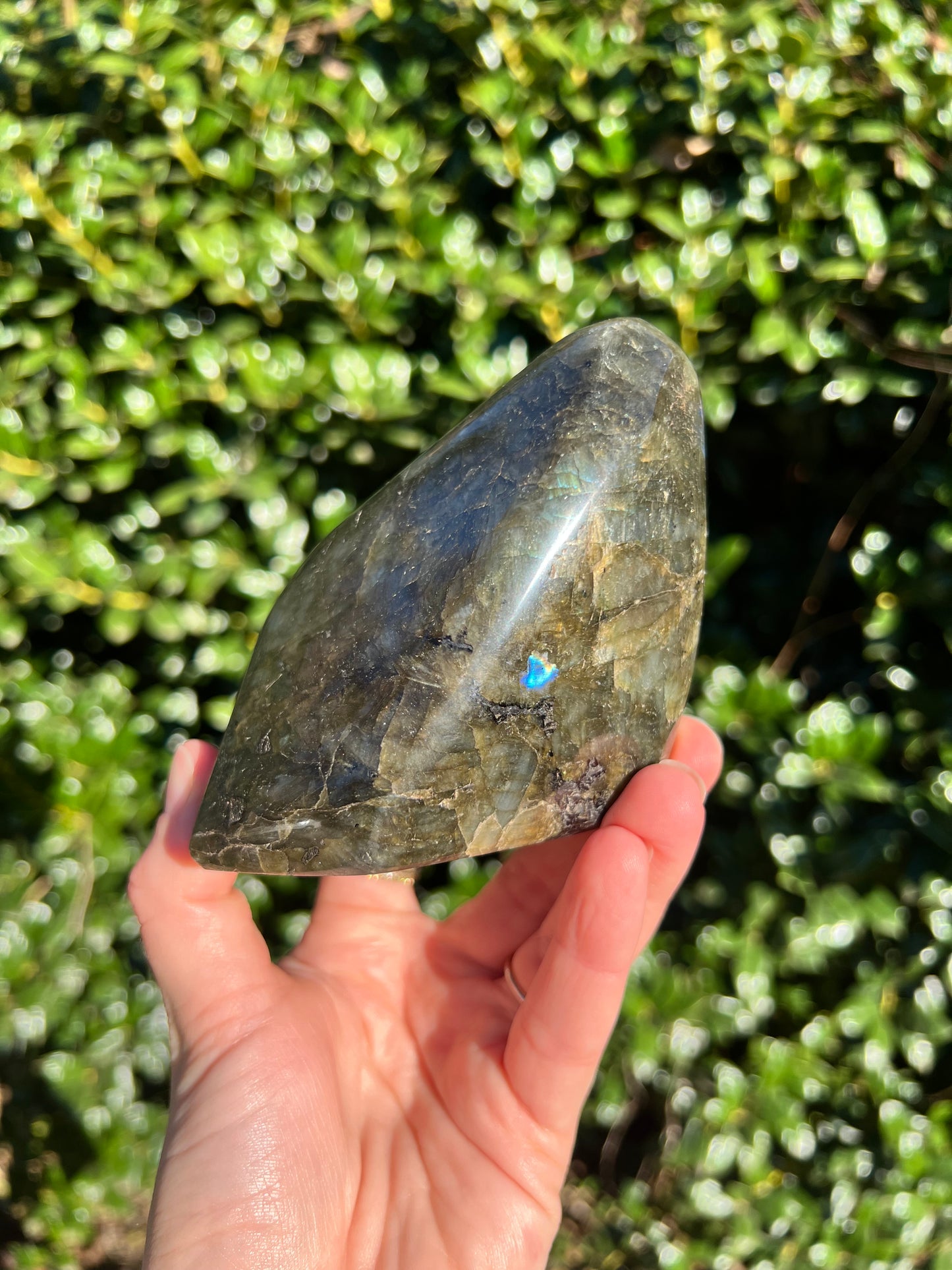 Labradorite Cut Bases