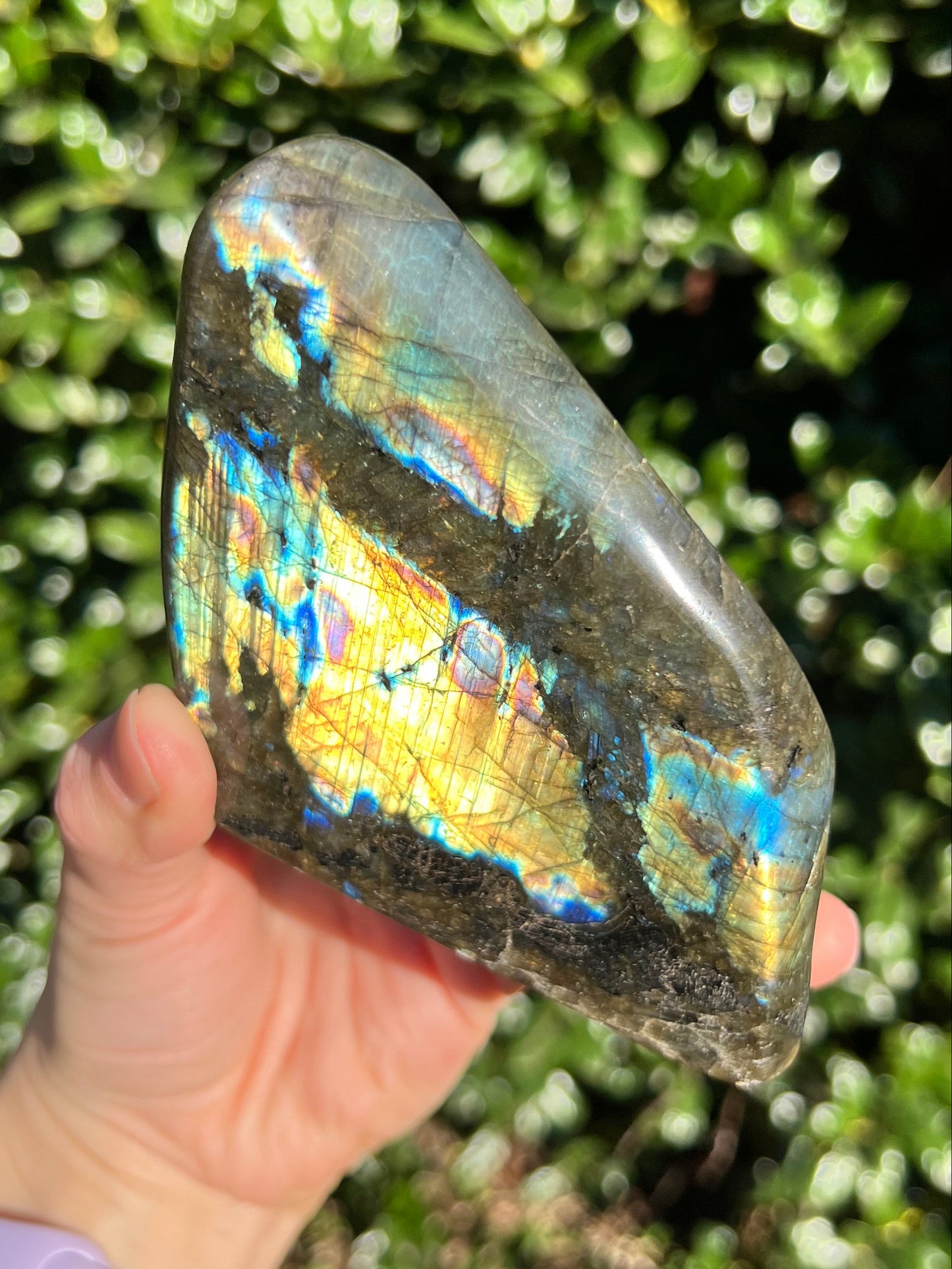 Labradorite Cut Bases