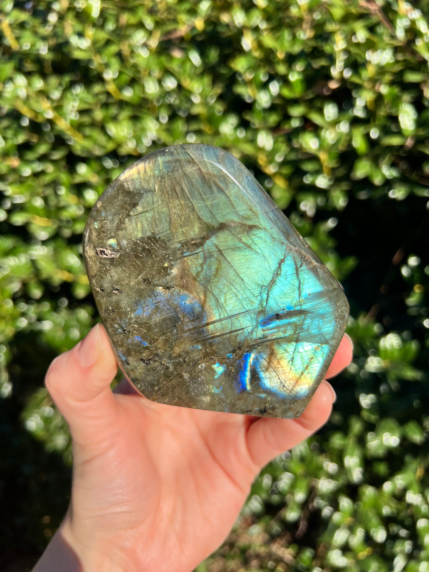 Labradorite Cut Bases
