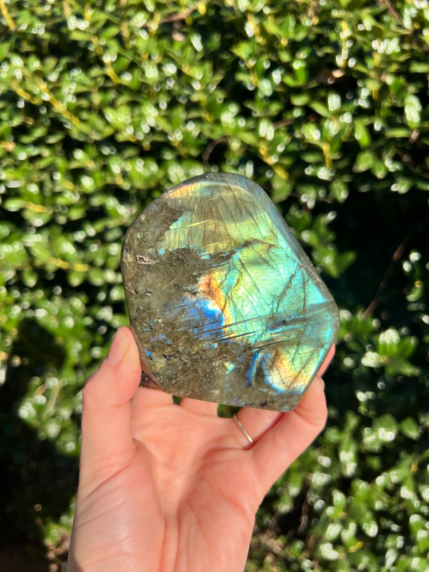 Labradorite Cut Bases