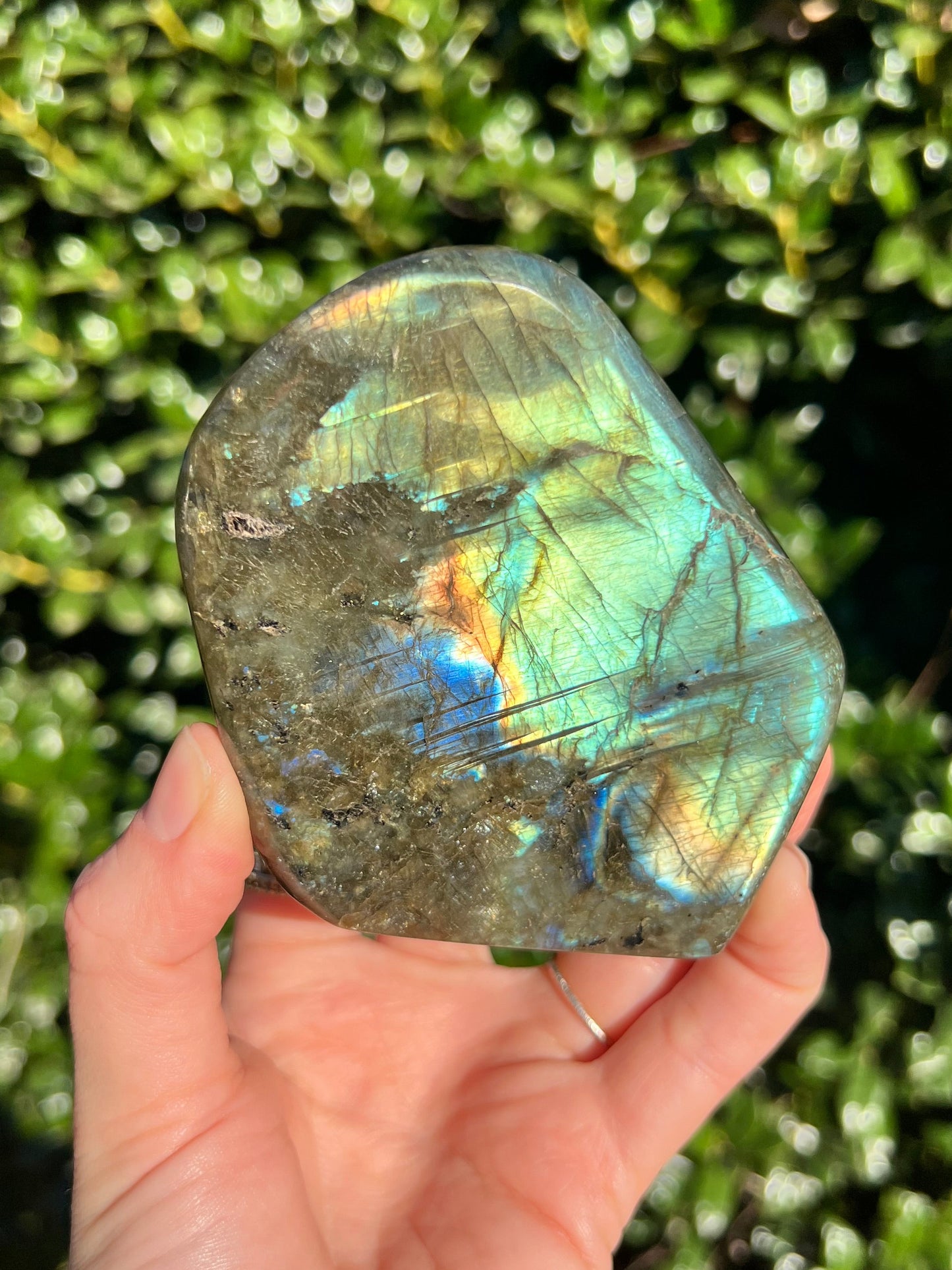 Labradorite Cut Bases