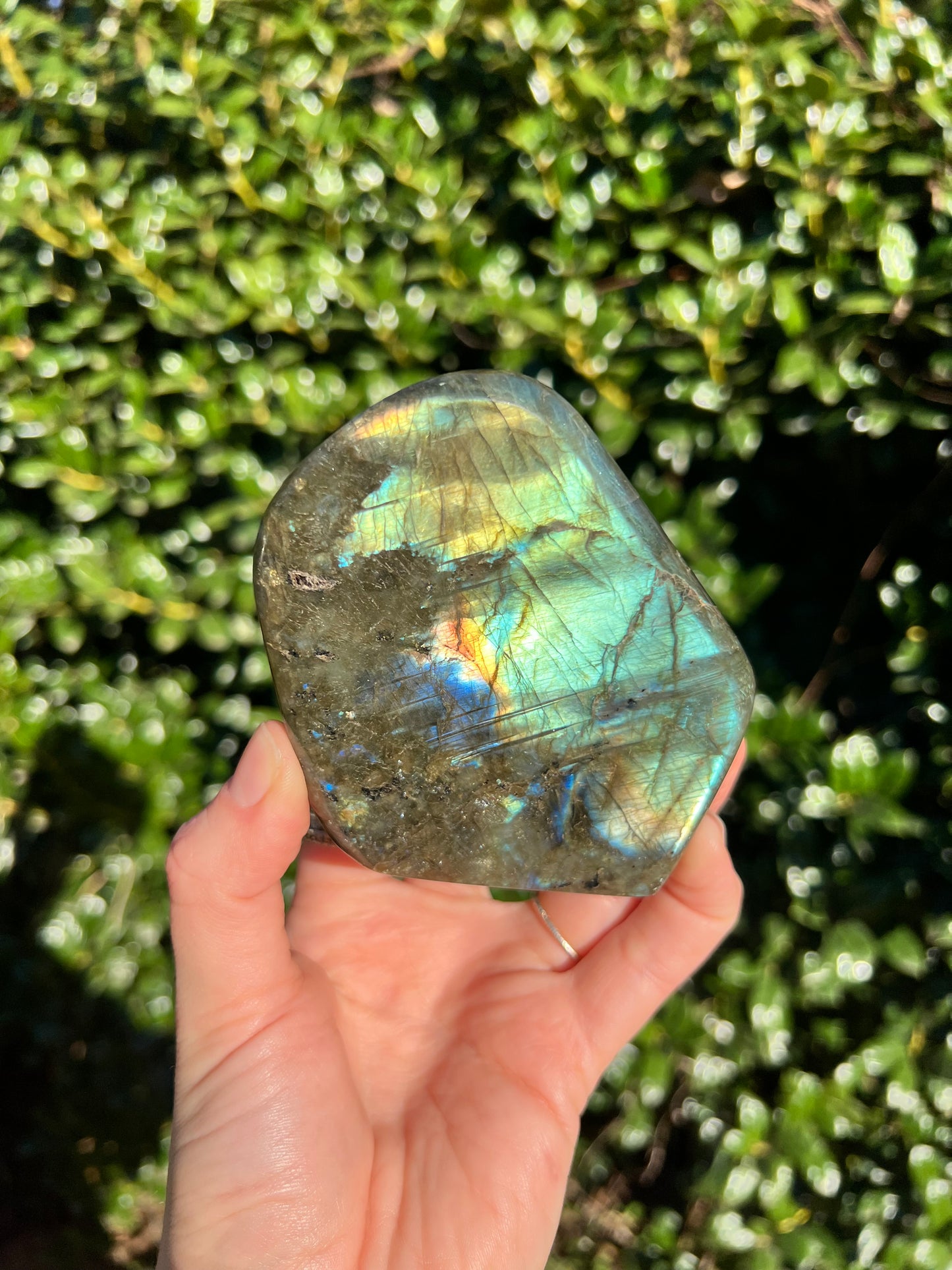 Labradorite Cut Bases