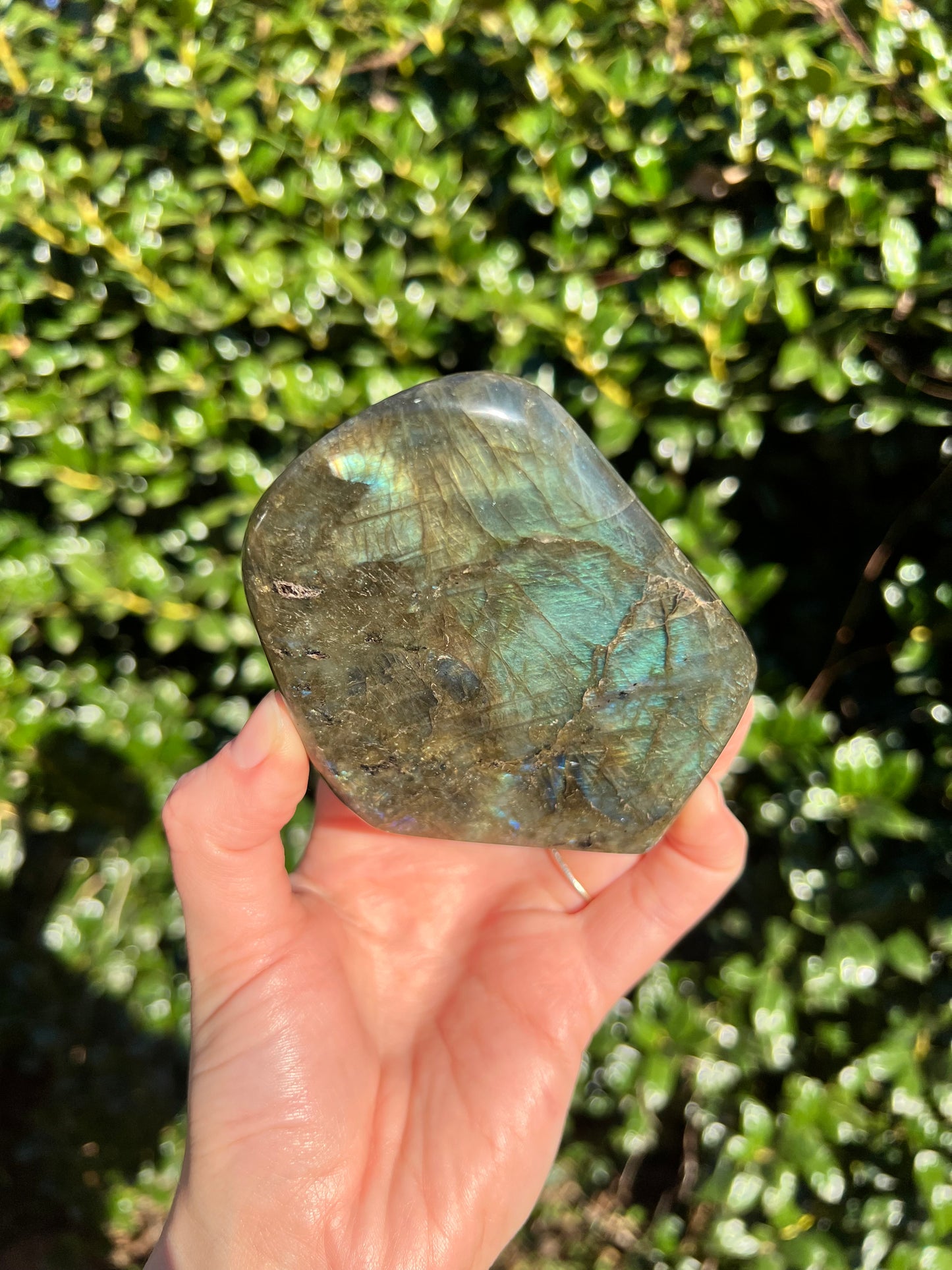 Labradorite Cut Bases