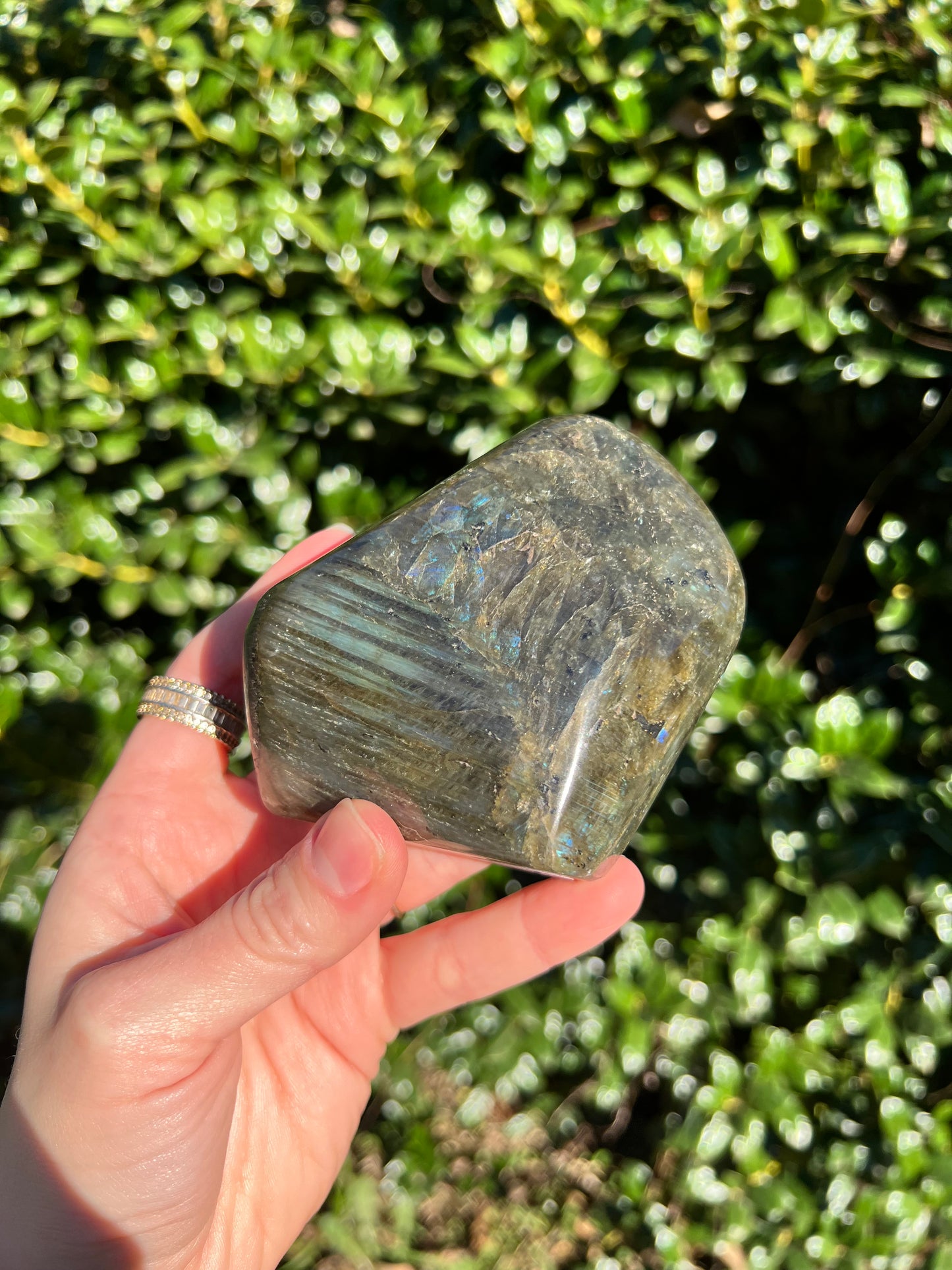 Labradorite Cut Bases