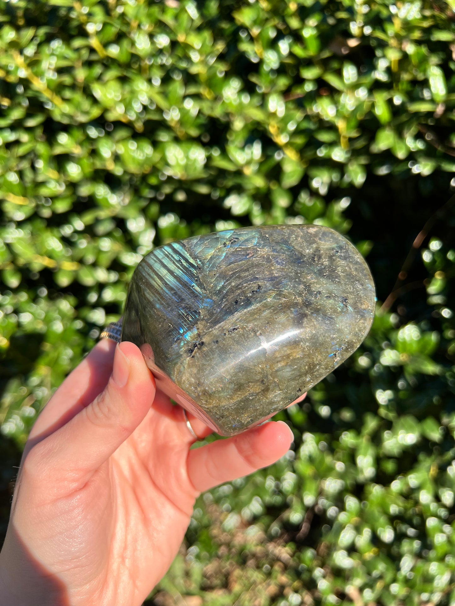 Labradorite Cut Bases