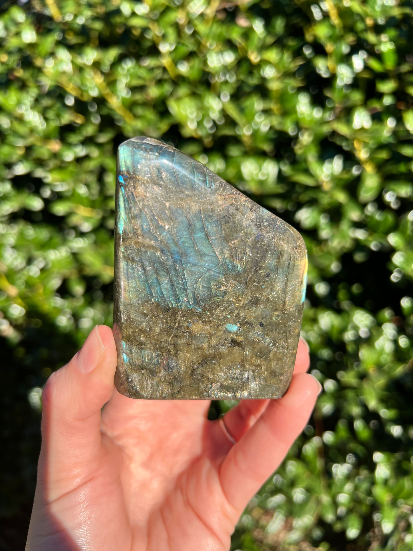 Labradorite Cut Bases