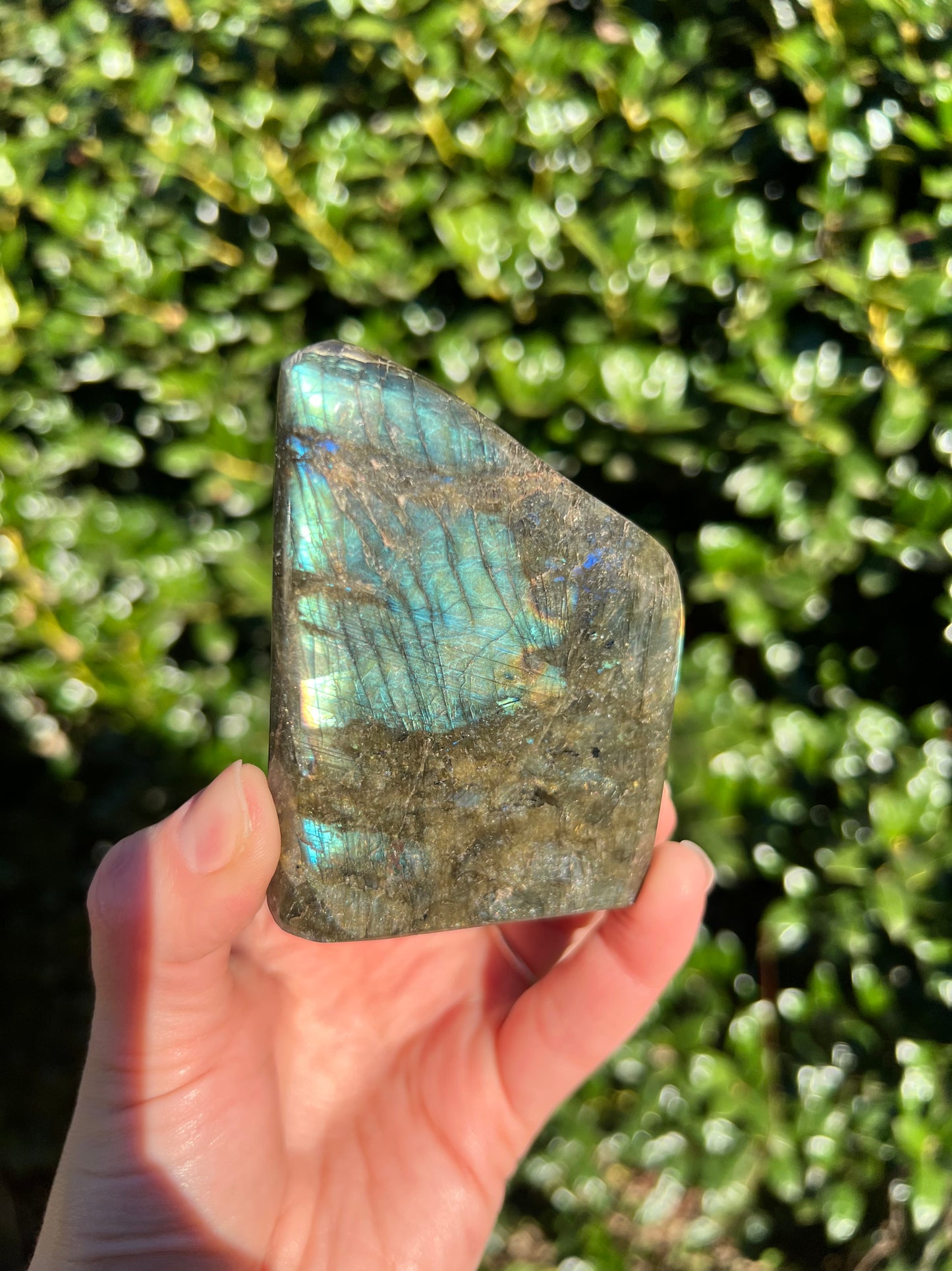 Labradorite Cut Bases